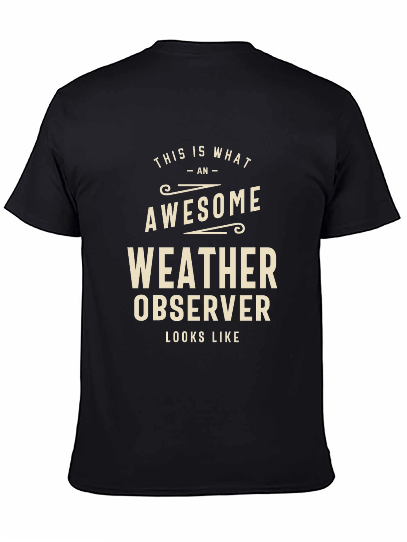 Black Awesome Weather Observer Graphic T-Shirt view 4