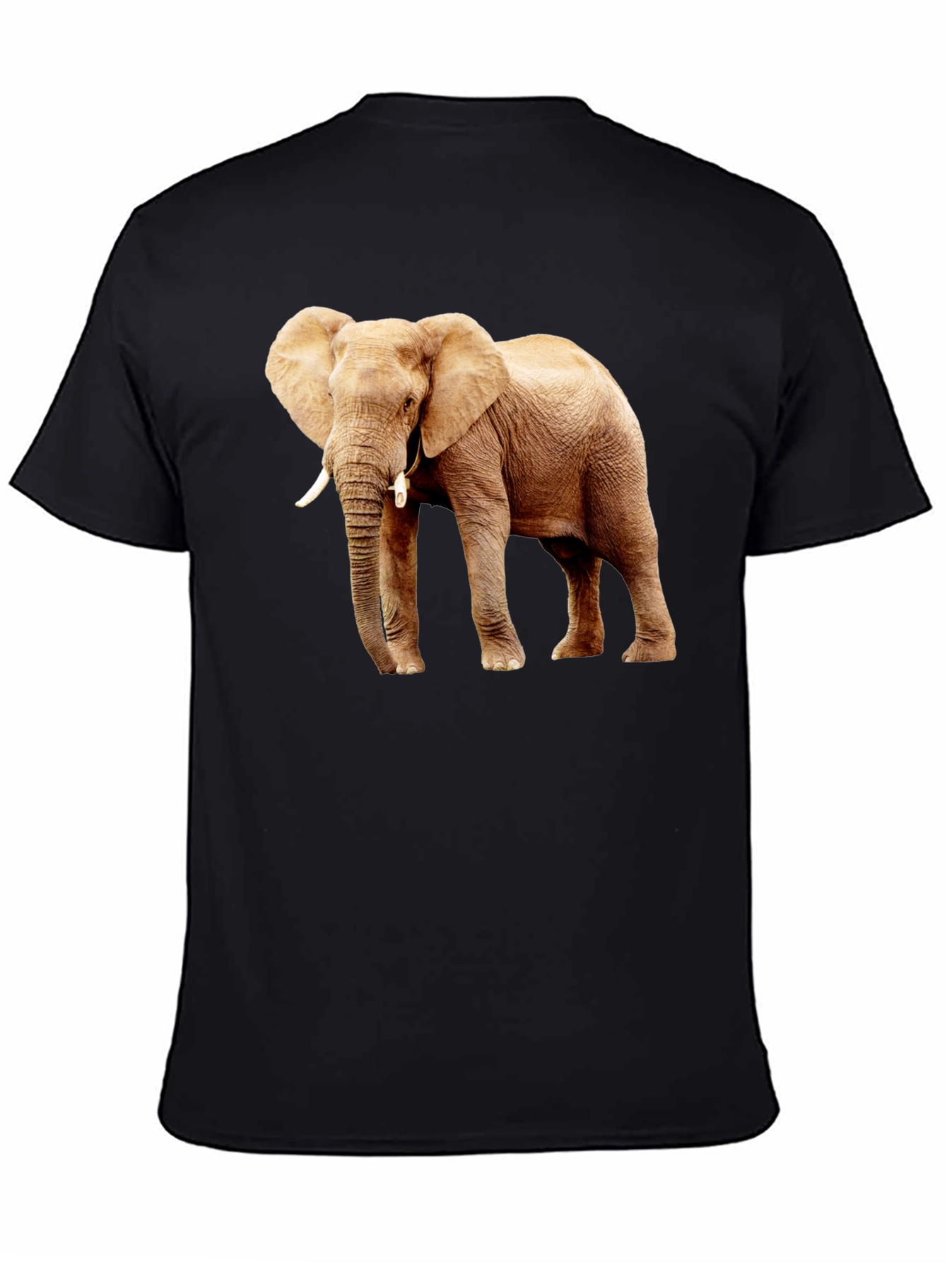 Black Elephant Graphic Print T-Shirt view 4