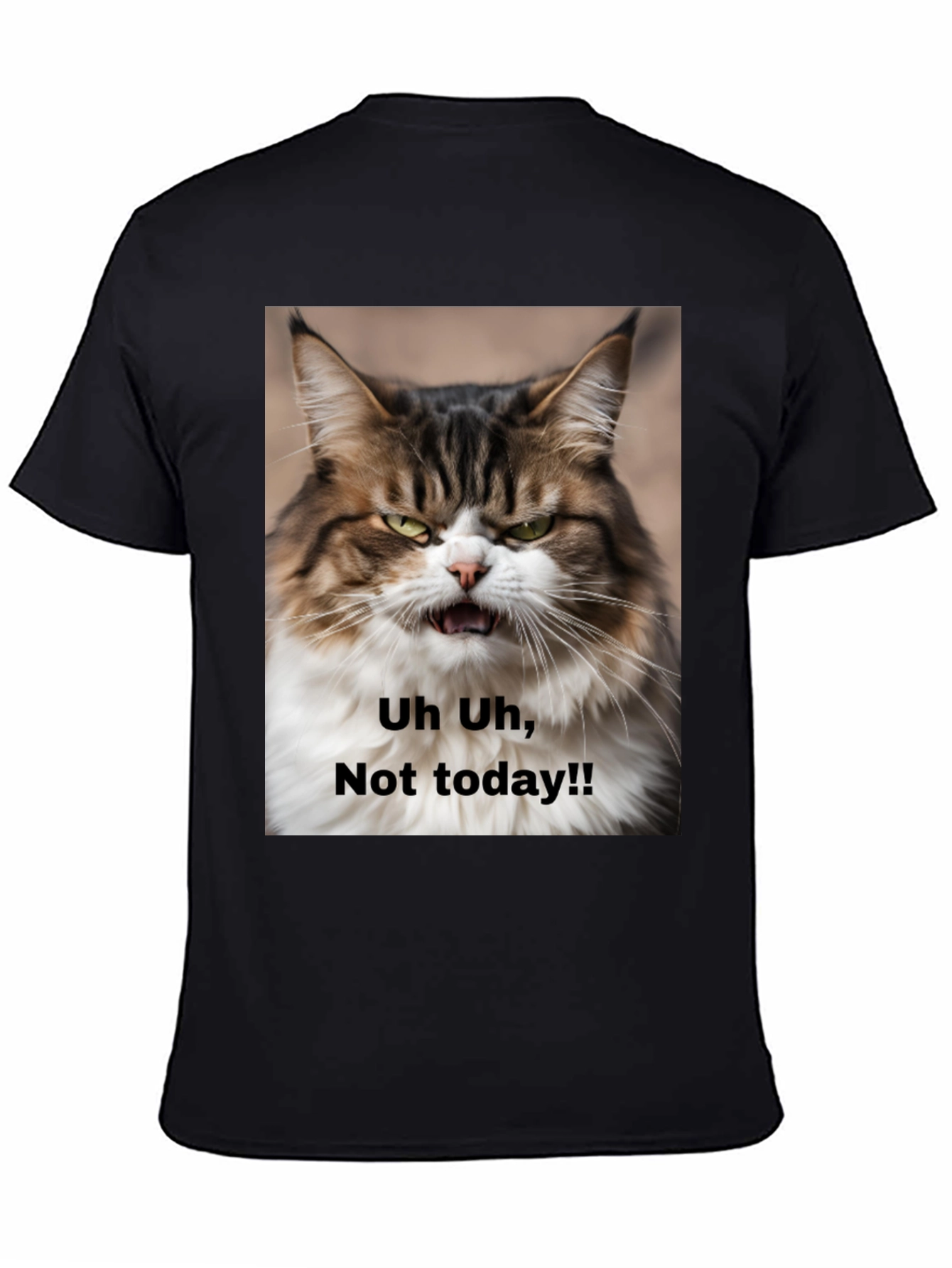 Black Grumpy Cat T-Shirt - "Not Today!" Unisex Black Tee view 4