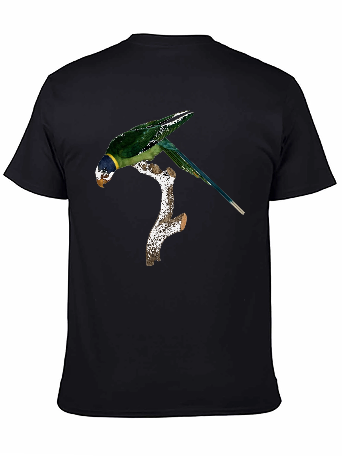 Black Parrot on Branch Graphic Tee - Black Cotton Blend Shirt view 4