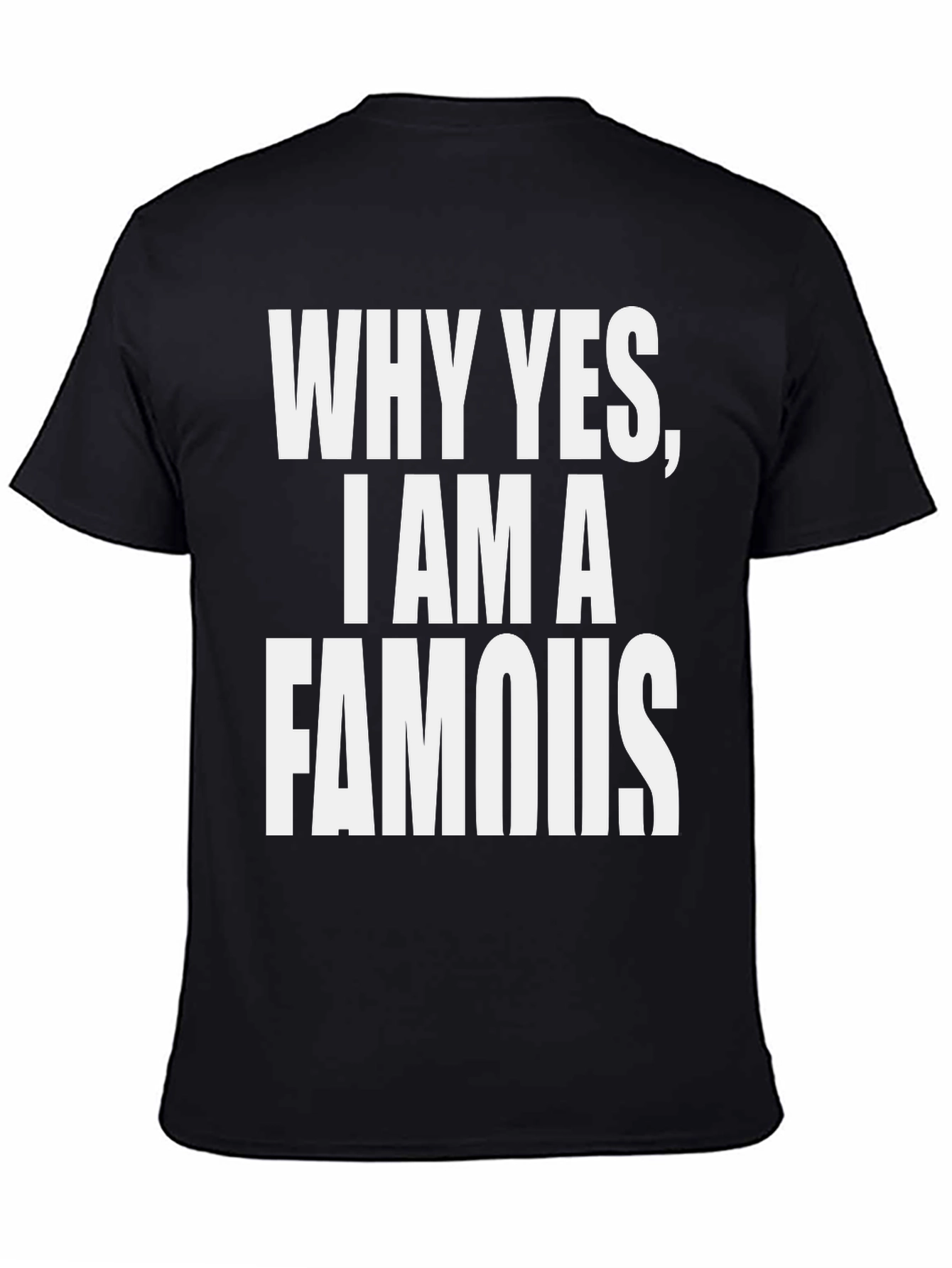 Black Why Yes, I Am A Famous T-Shirt - Black view 4