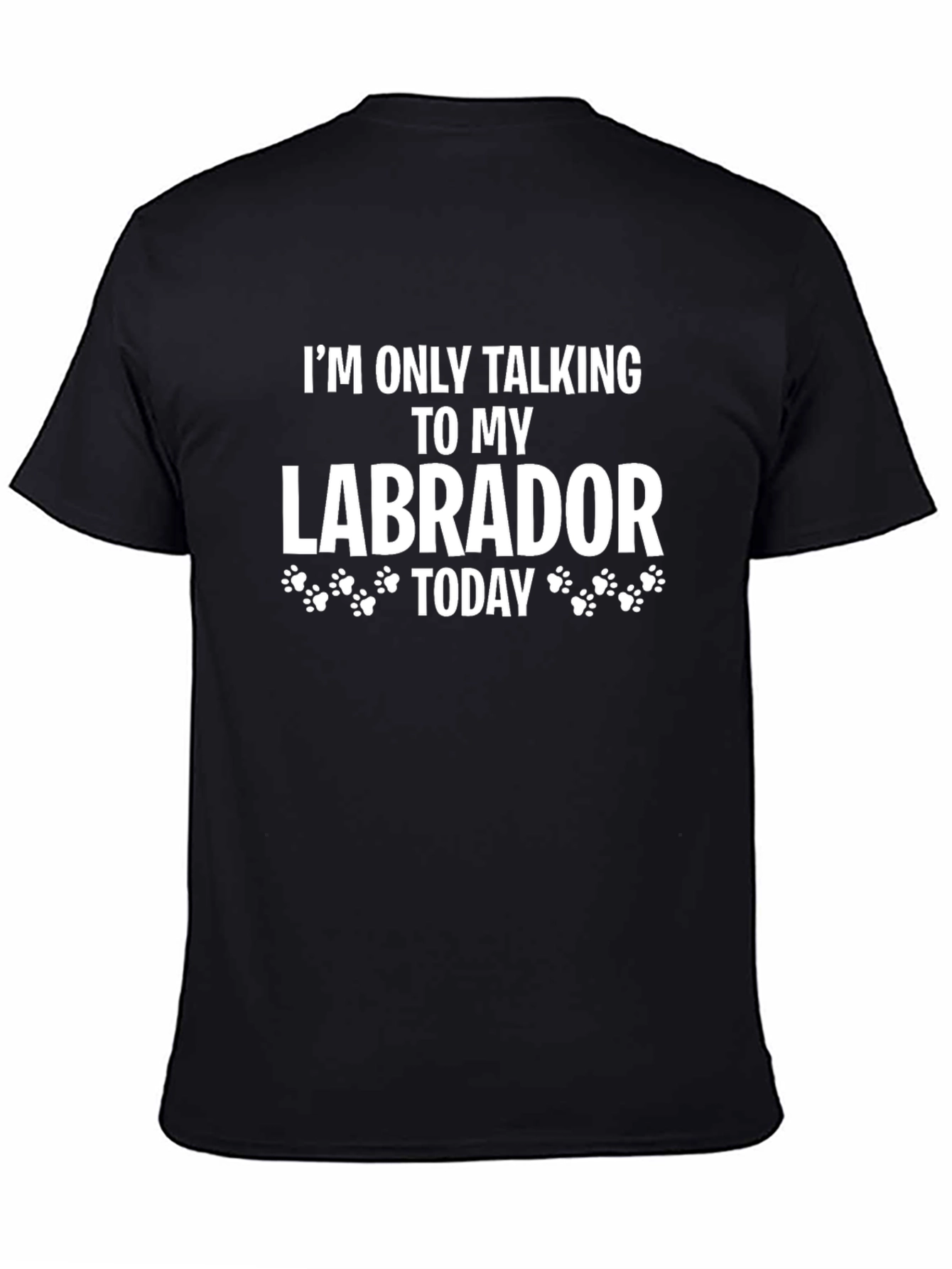 Labrador Lover T-Shirt - I'm Only Talking To My Labrador Today - 4