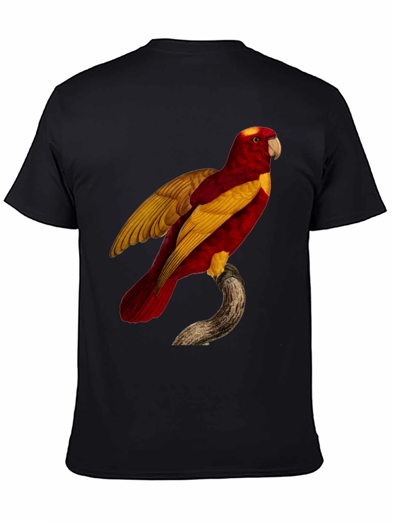 Black Exotic Parrot Graphic Tee view 4