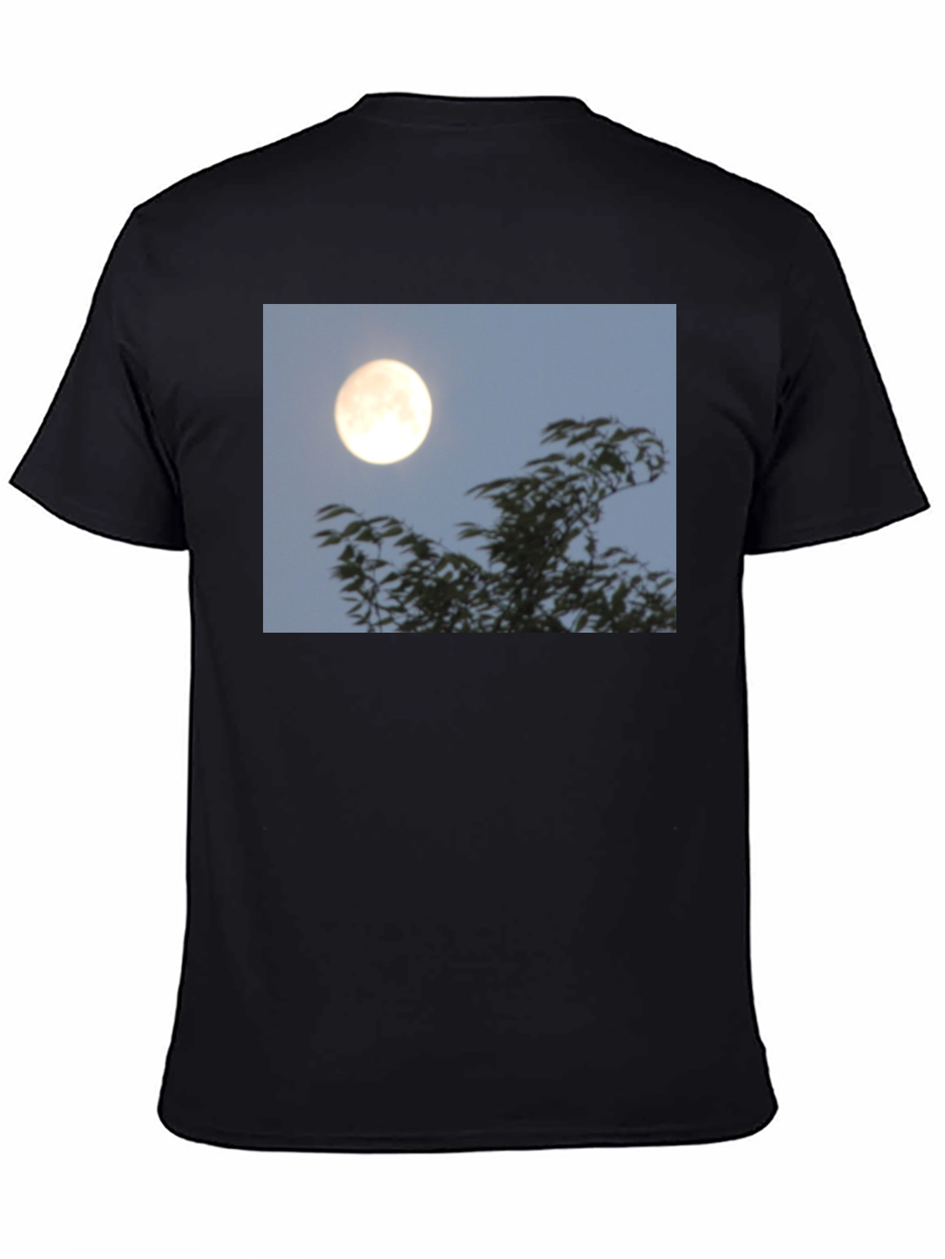 Black Moonlit Trees Graphic Tee - Black Cotton T-Shirt view 4
