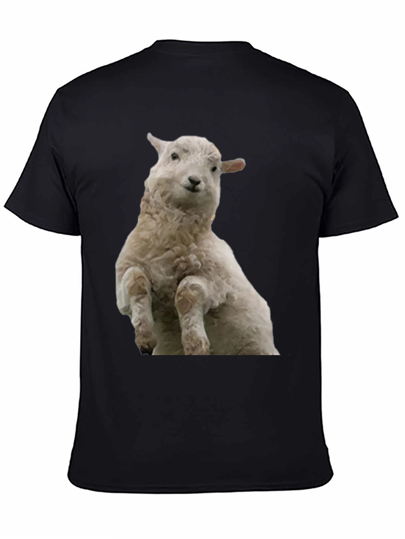 Black Black T-Shirt with Sheep Graphic view 4