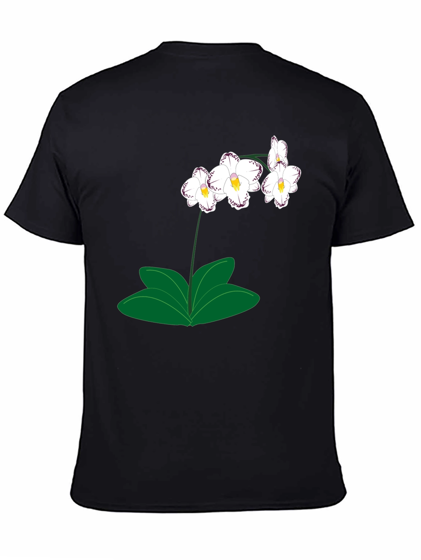 Black Orchid Graphic T-Shirt - Black, Casual Wear view 4