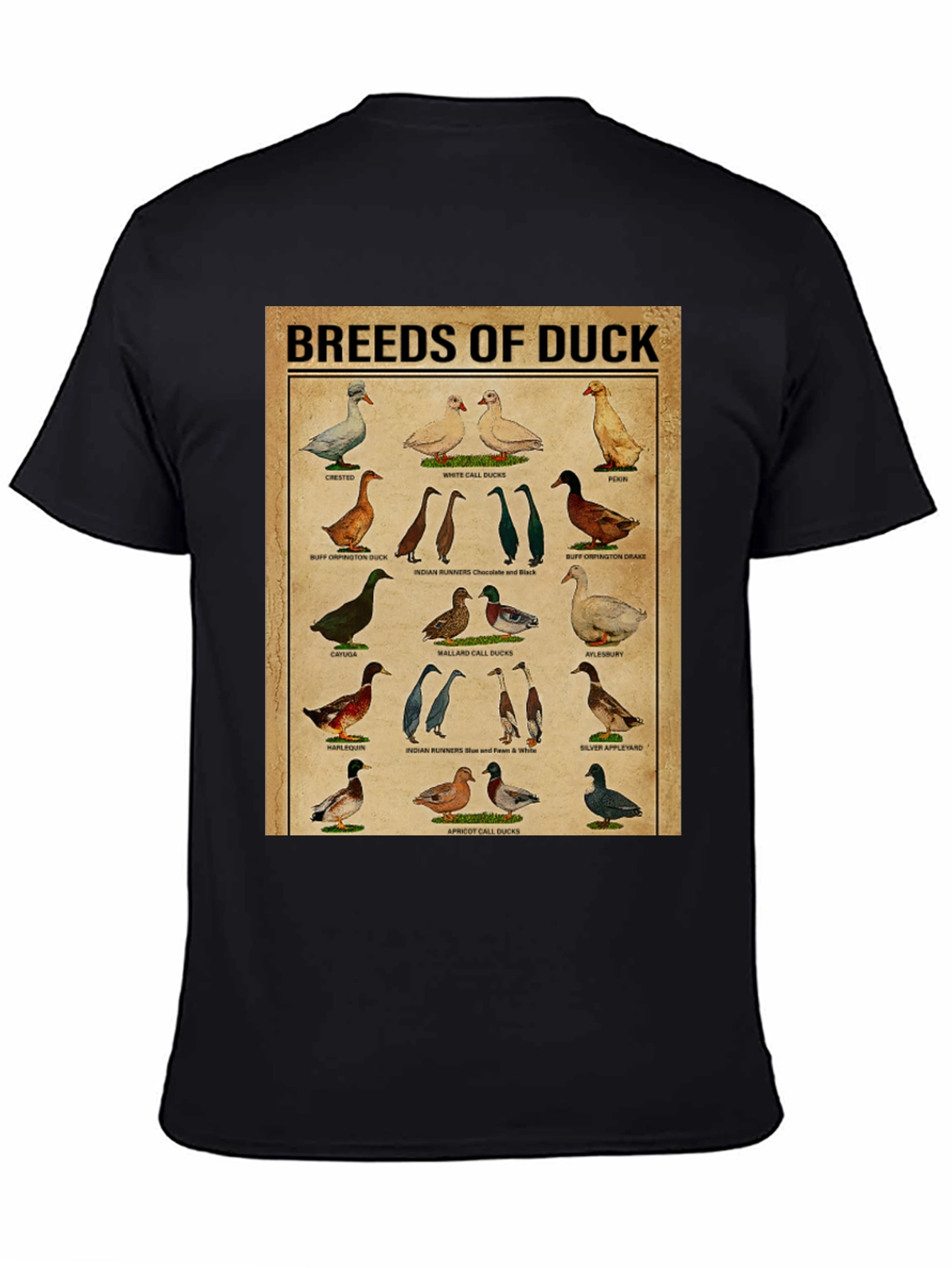 Black Breeds of Duck T-Shirt - Bird Lover Gift view 4