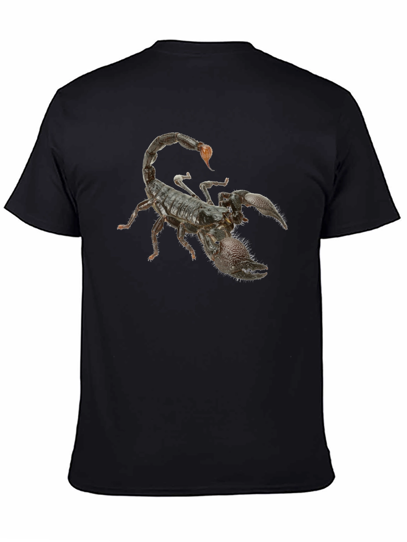 Black Scorpion Graphic Black T-Shirt view 4