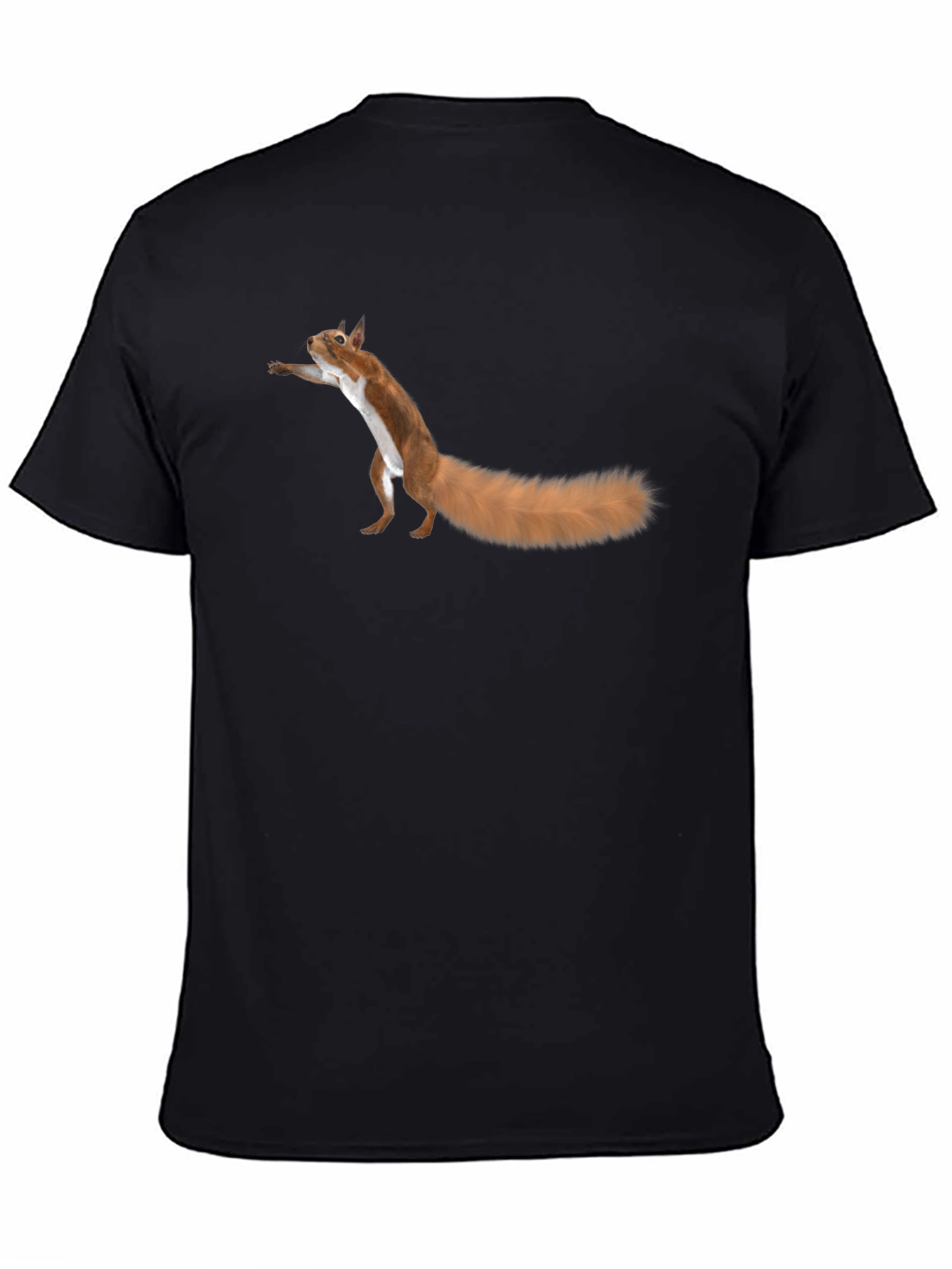 Black Squirrel Graphic Tee - Fun Black T-Shirt view 4