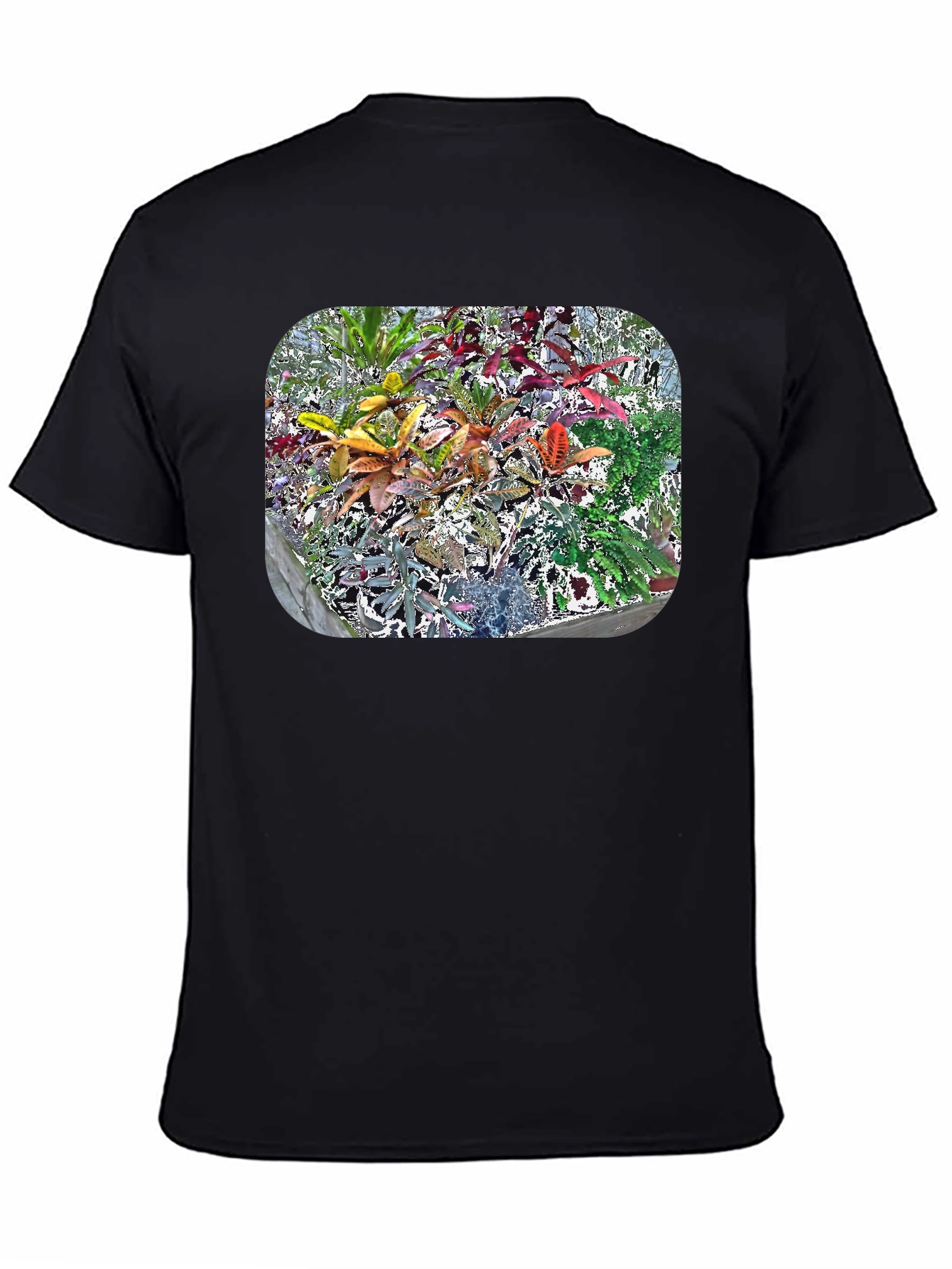 Black Vibrant Croton Plant Graphic Tee view 4