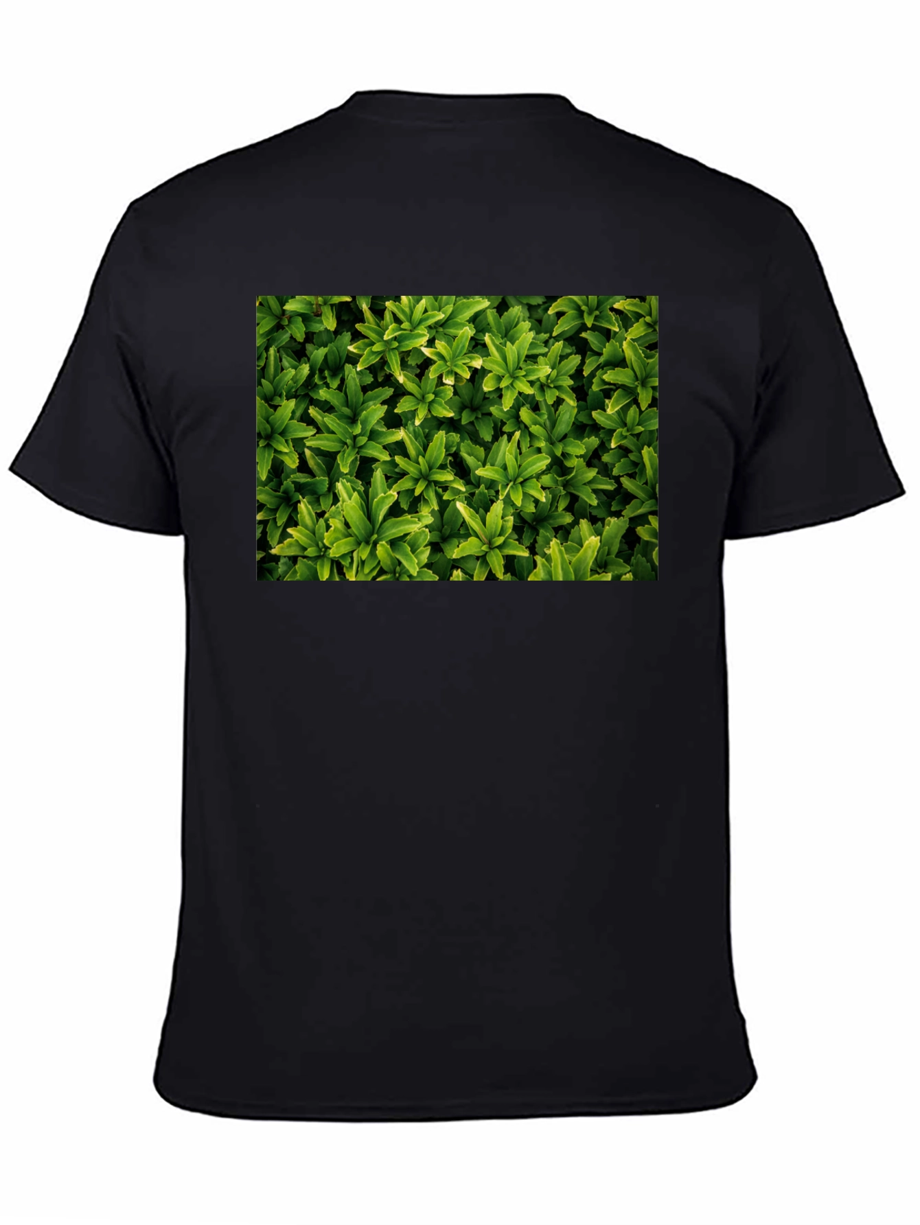 Black Leaf Print Black T-Shirt view 4
