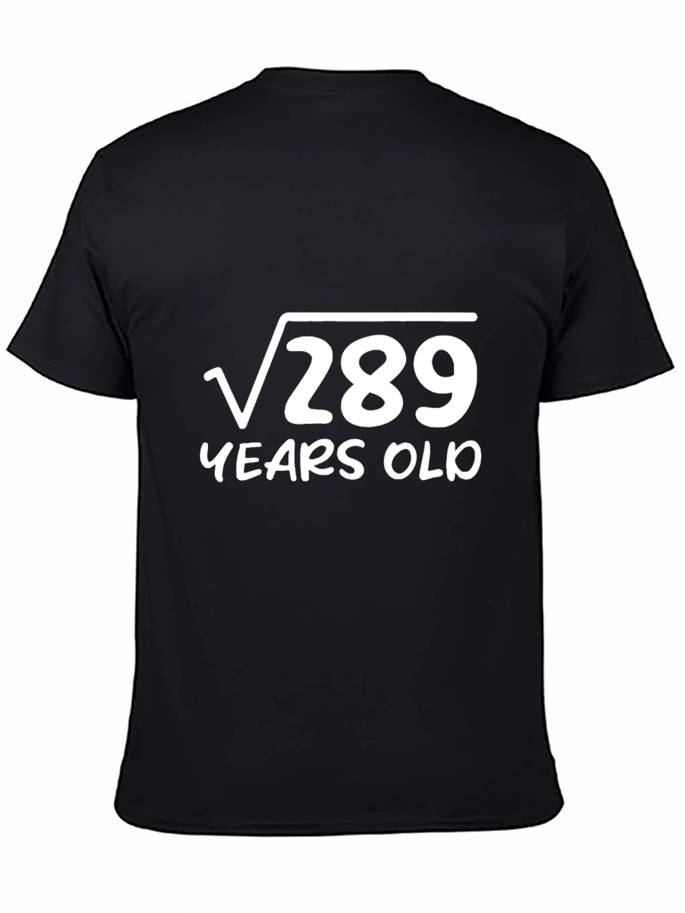 Black Funny 17th Birthday T-Shirt - Square Root of 289 view 4