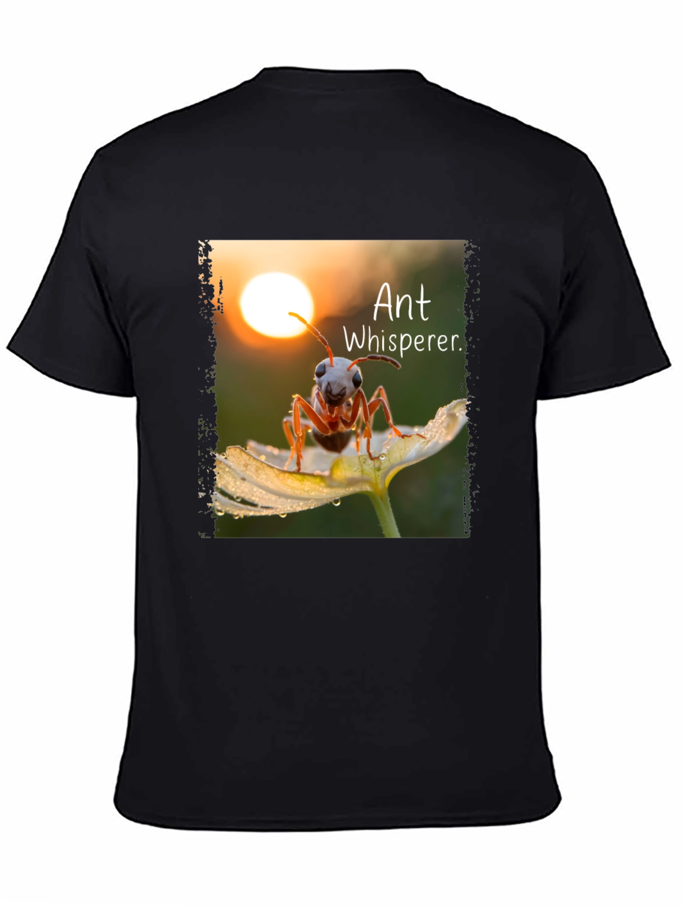 Black Ant Whisperer Graphic T-Shirt view 4