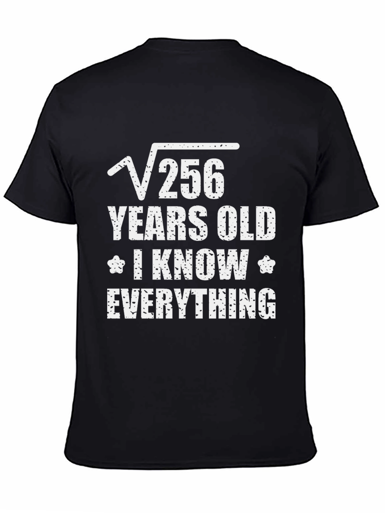 Black Funny Math 16 Years Old T-Shirt view 4