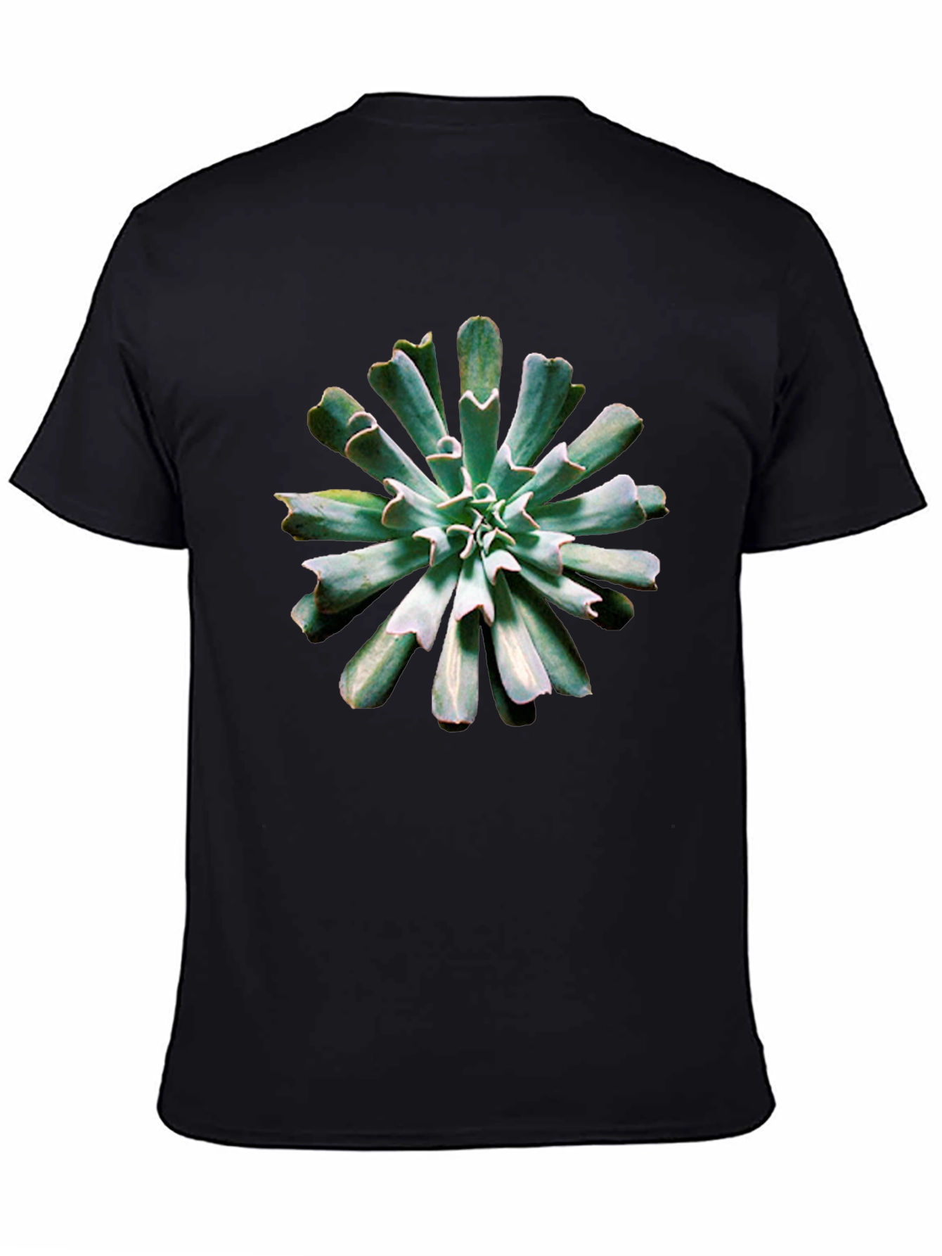 Black Succulent Print Black T-Shirt view 4