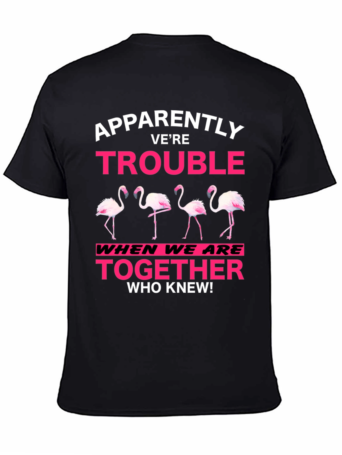 Black Funny Flamingo Trouble Graphic T-Shirt view 4