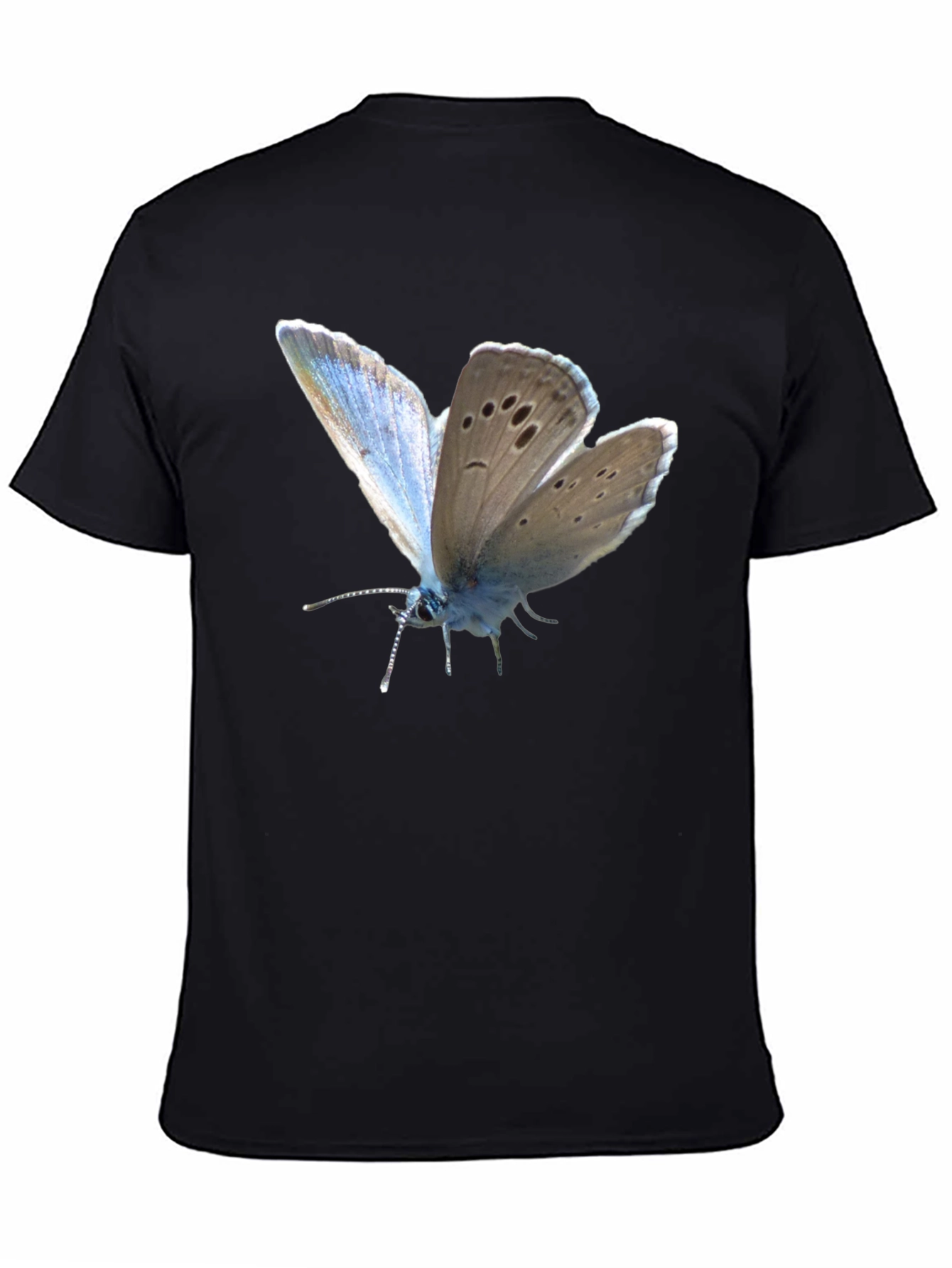 Black Butterfly Print Black T-Shirt view 4