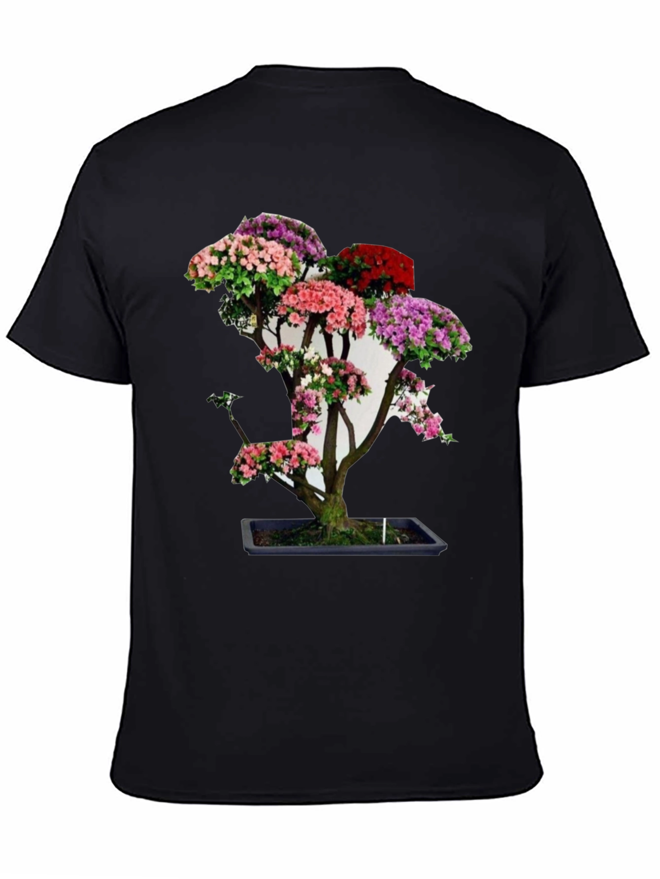 Black Bonsai Tree Graphic Tee - Unique Floral Design view 4