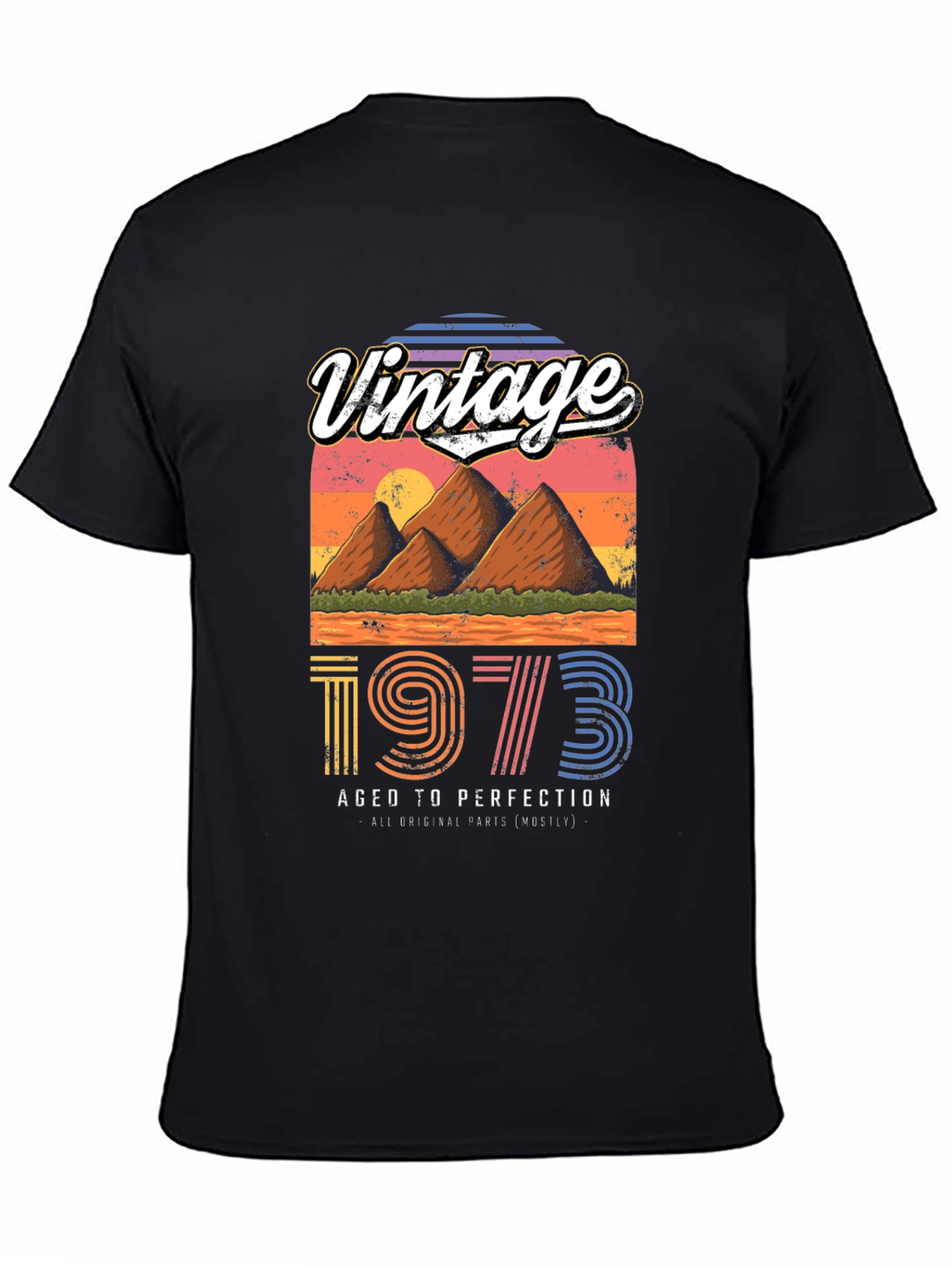Black Vintage 1973 Aged to Perfection Graphic Tee view 4