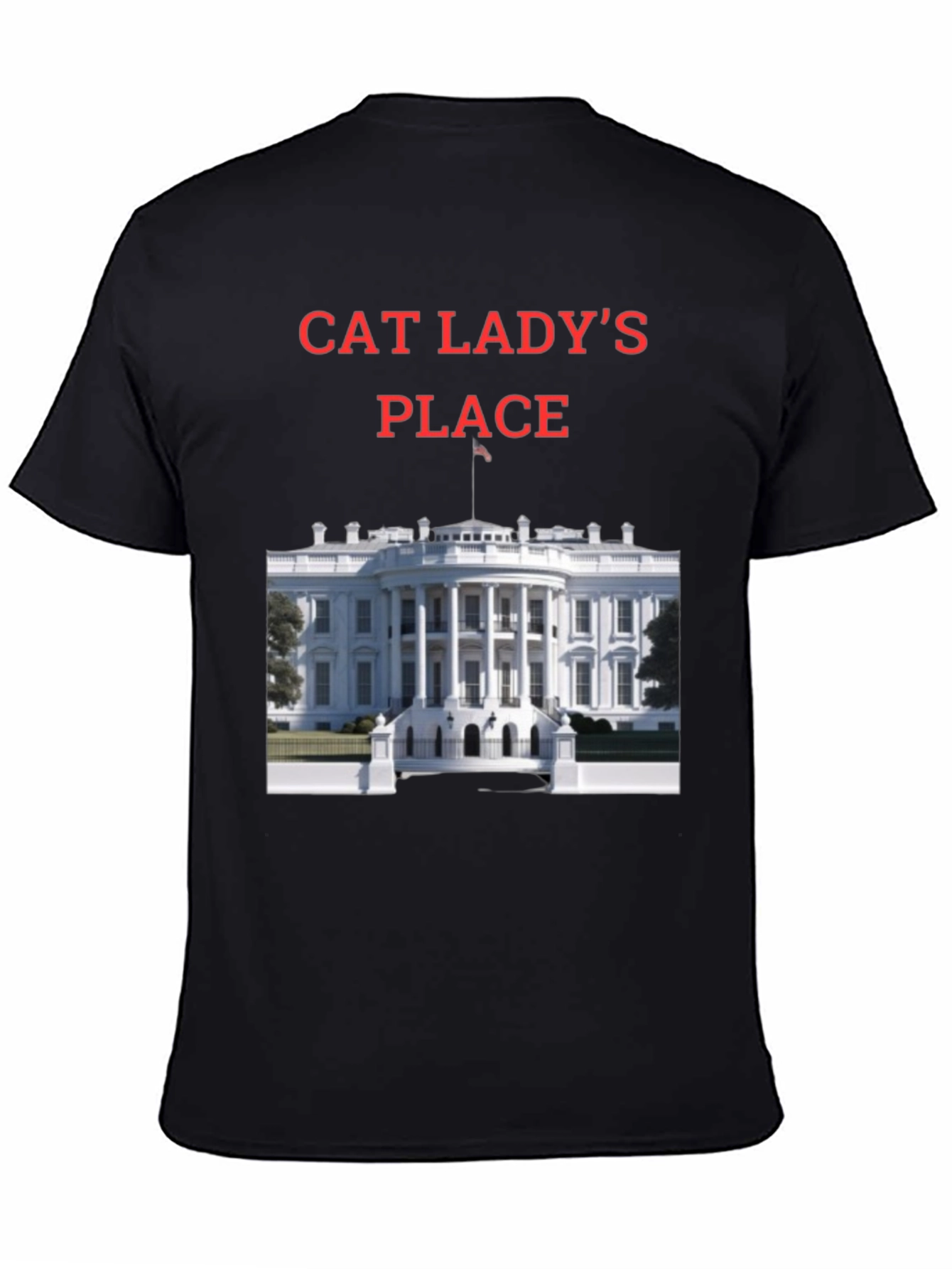 Black Cat Lady's Place T-Shirt - Novelty Tee view 4