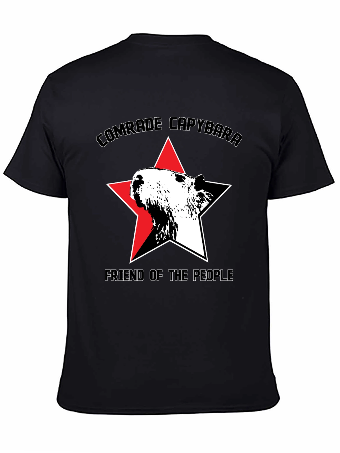 Black Comrade Capybara T-Shirt - Friend of the People view 4