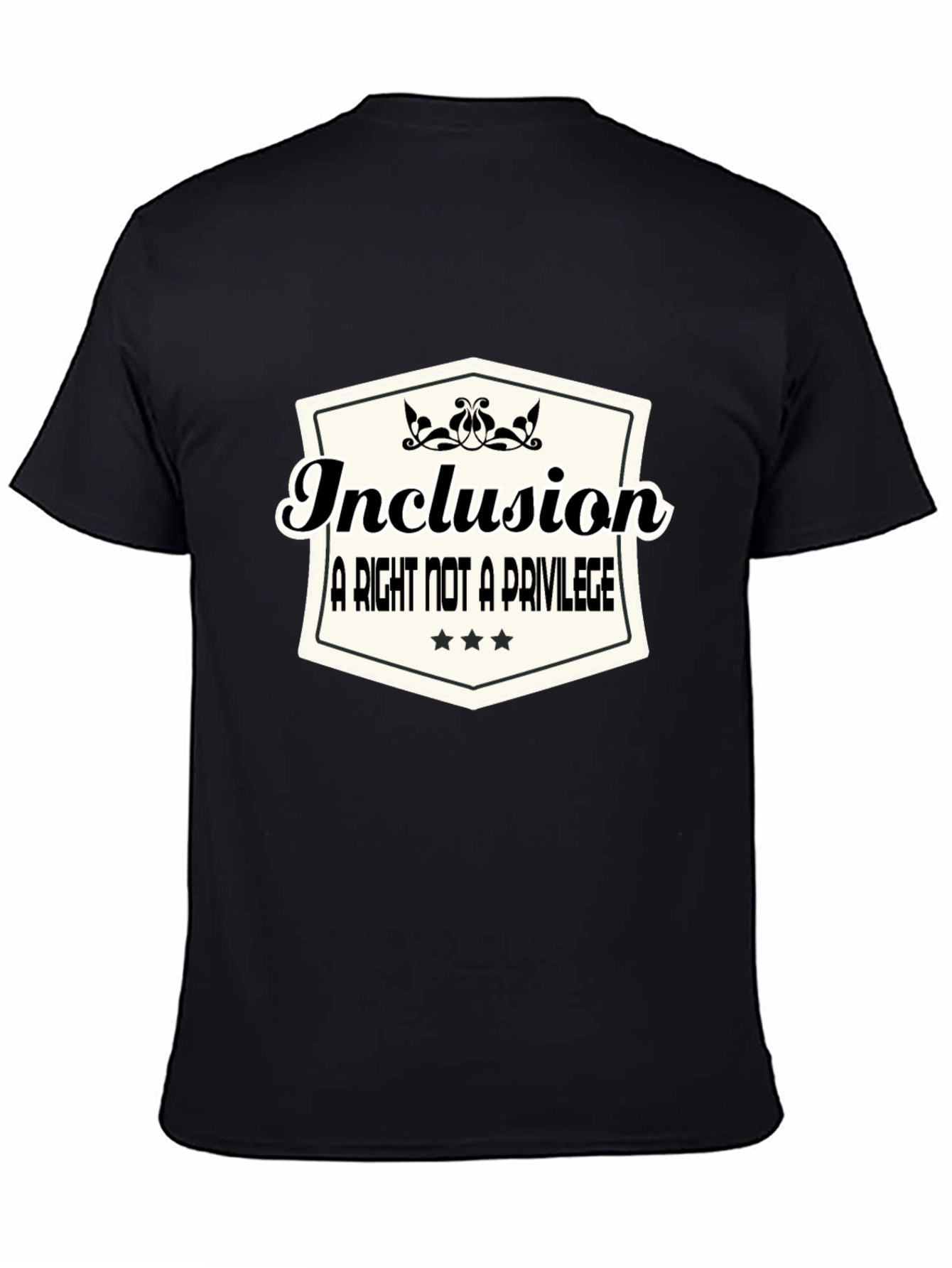 Black Inclusion T-Shirt: A Right Not a Privilege view 4