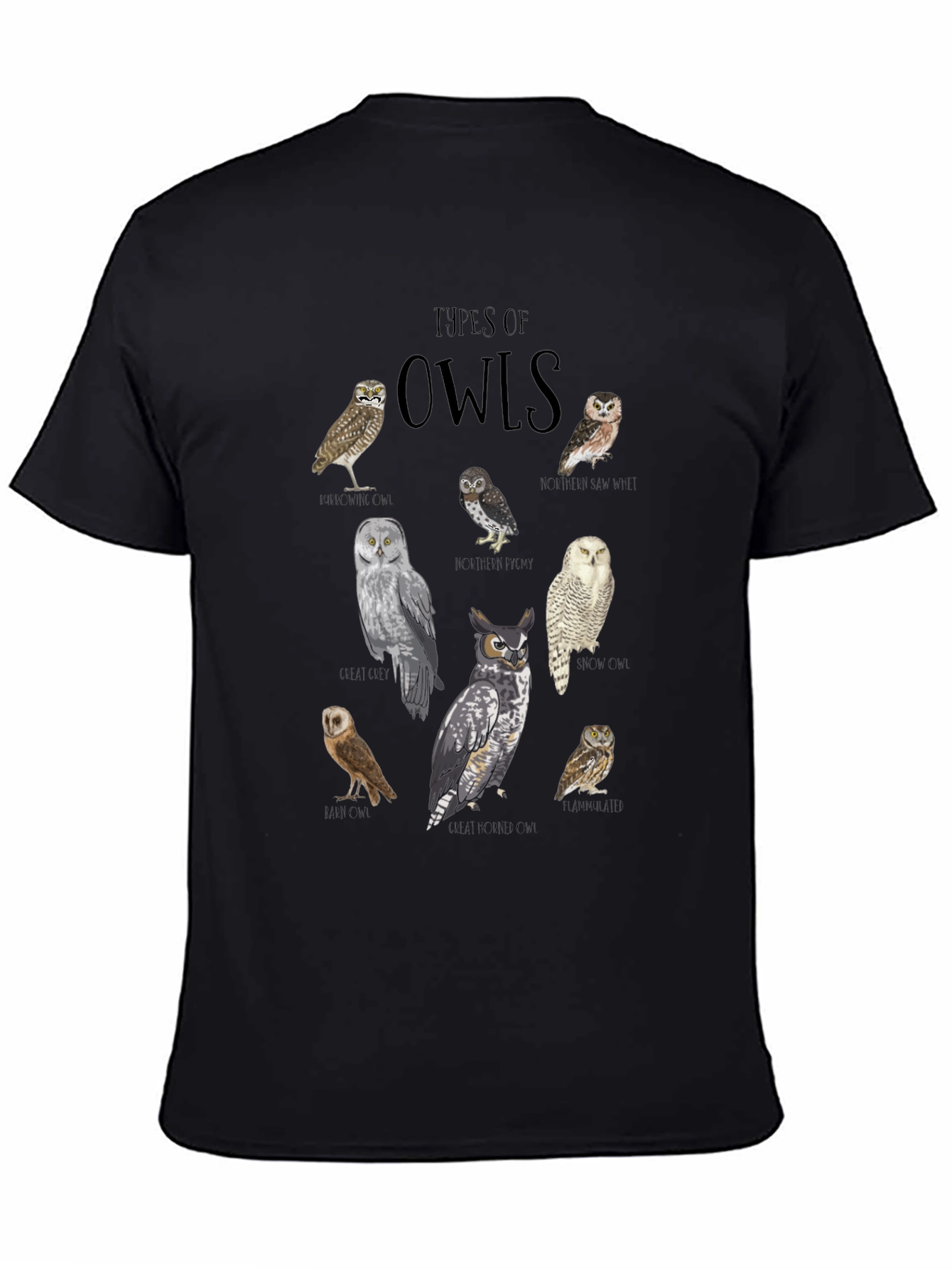 Black Types of Owls Graphic T-Shirt view 4