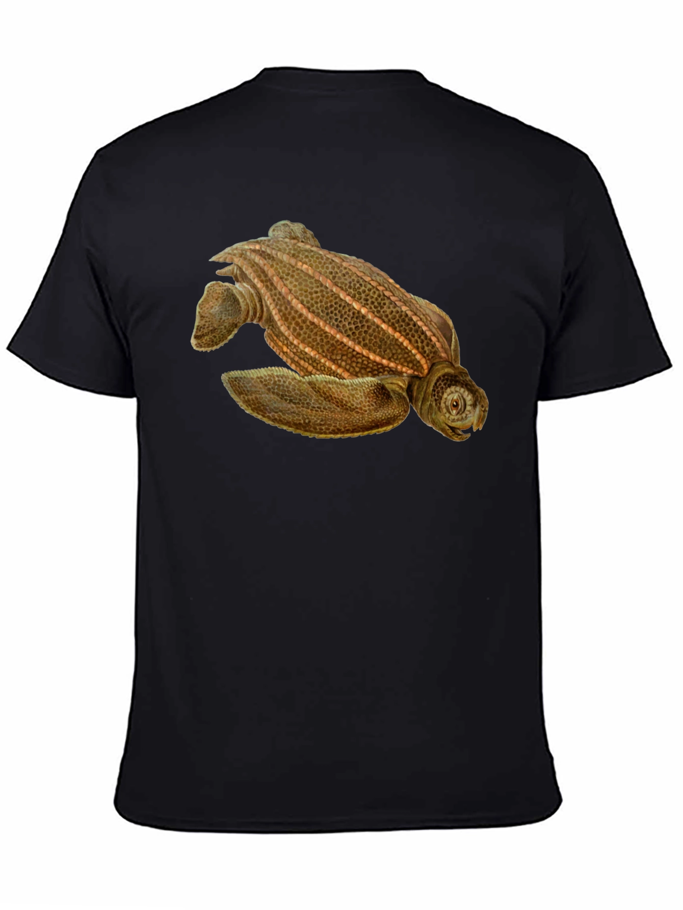 Black Sea Turtle Graphic Tee - Black Cotton Blend view 4