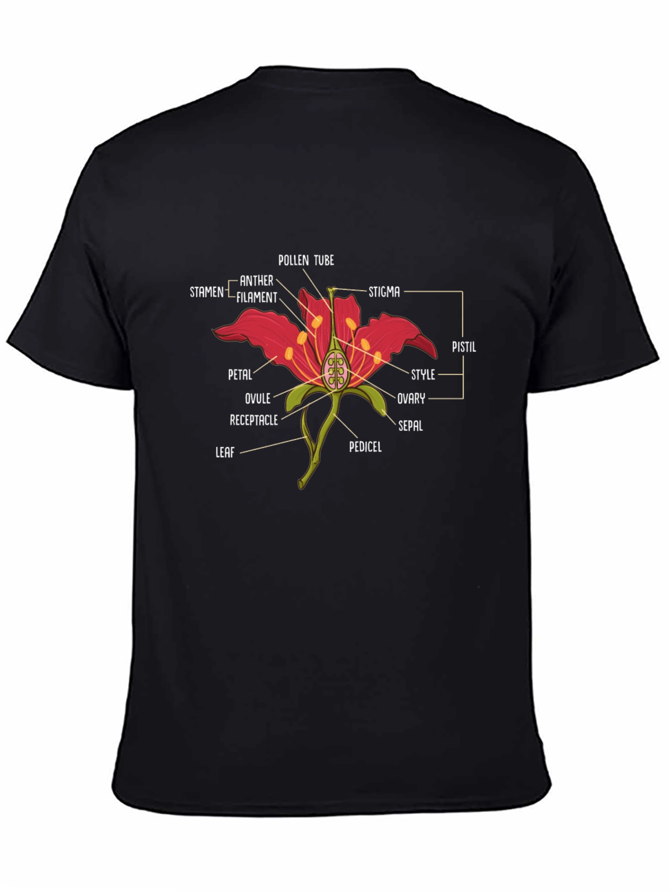 Black Anatomy of a Flower Graphic T-Shirt view 4