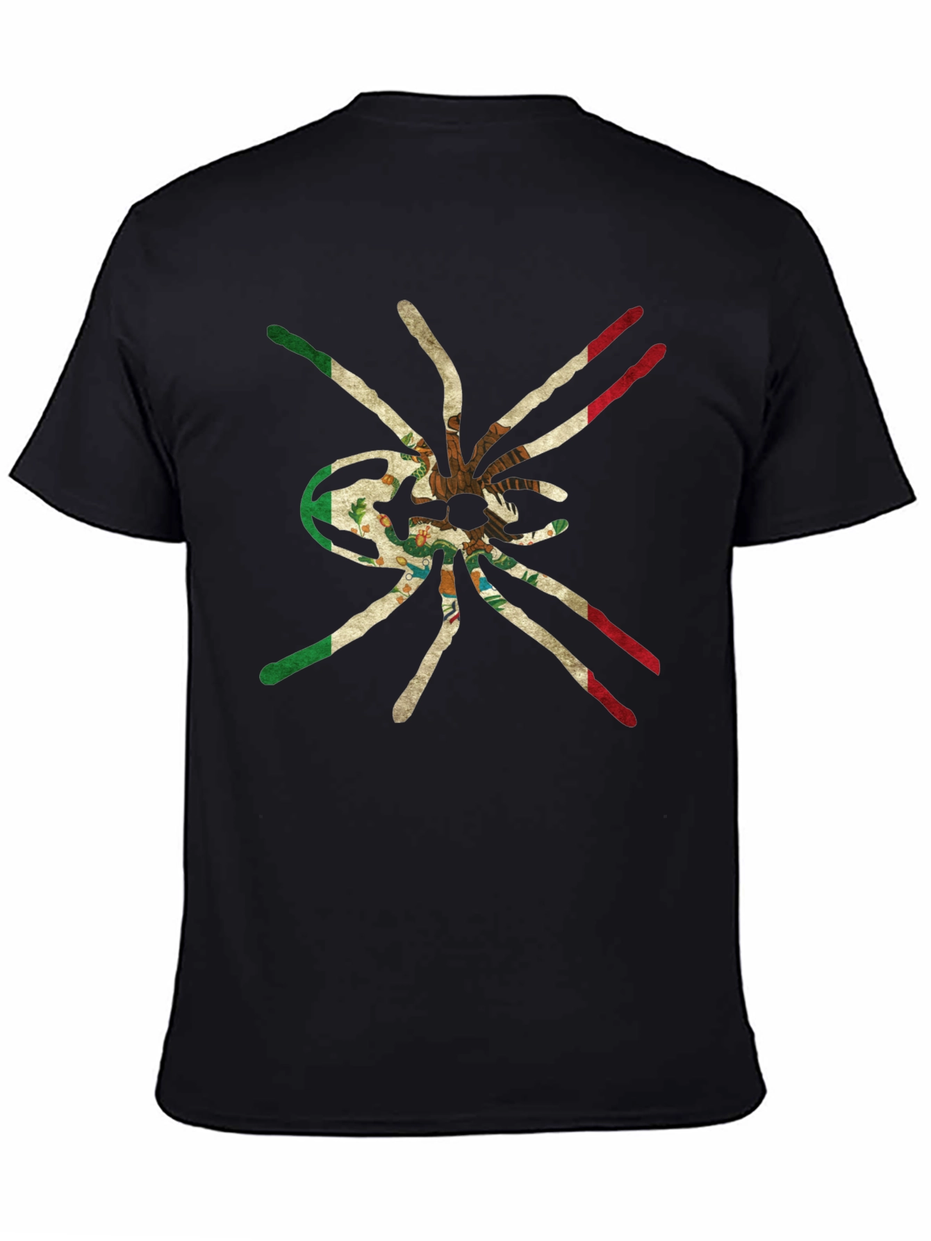 Black Mexican Flag Tarantula Graphic Tee view 4