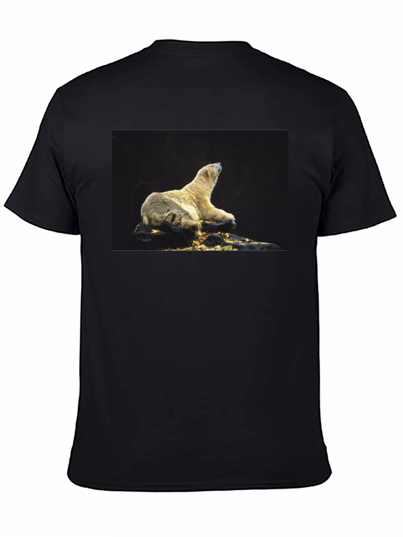 Black Polar Bear Graphic Black T-Shirt view 4