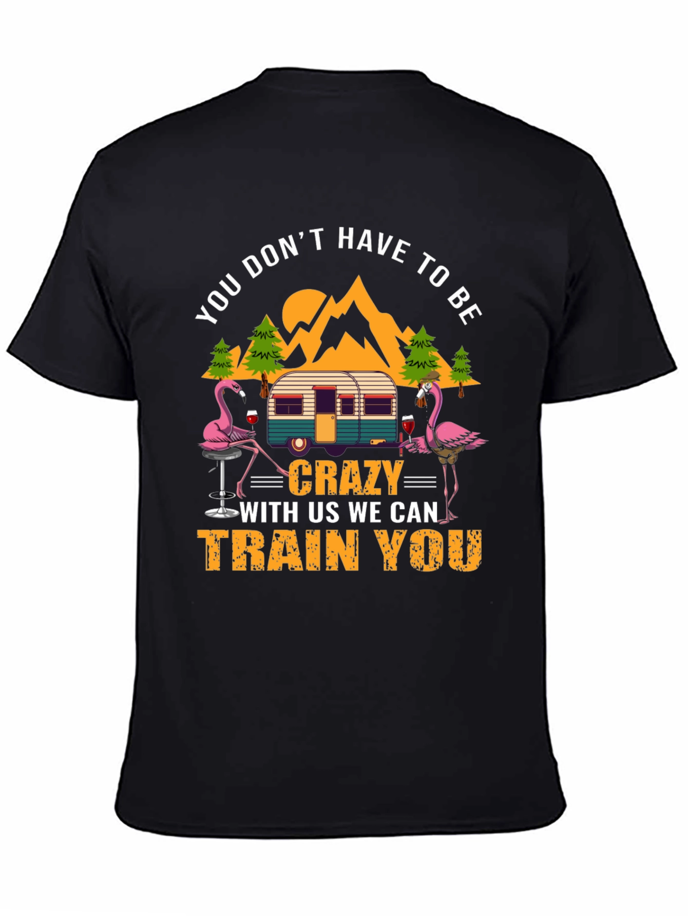 Black Flamingo Camper T-Shirt: You Don't Have to Be Crazy! view 4