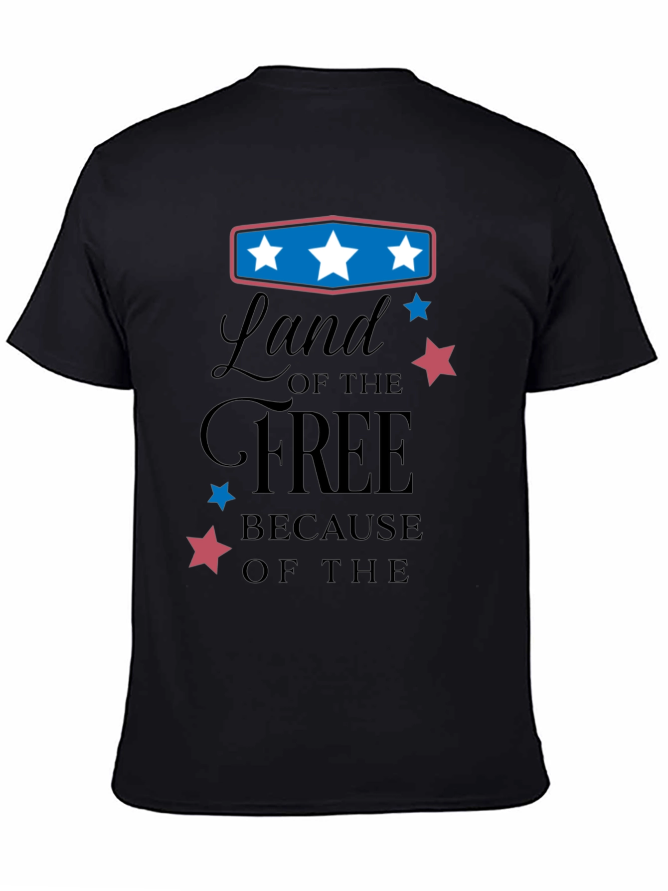 Black Land of the Free Graphic Tee view 4