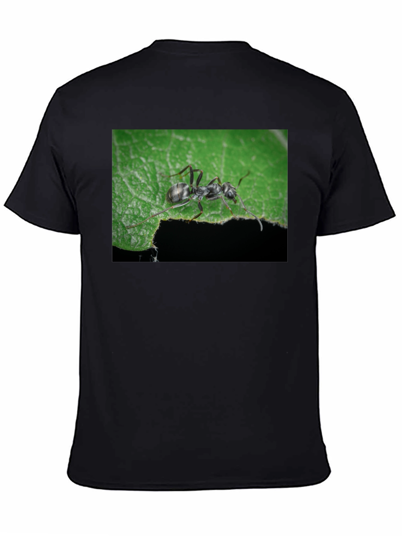 Black Ant on Leaf Graphic Tee - Nature Lover's T-Shirt view 4