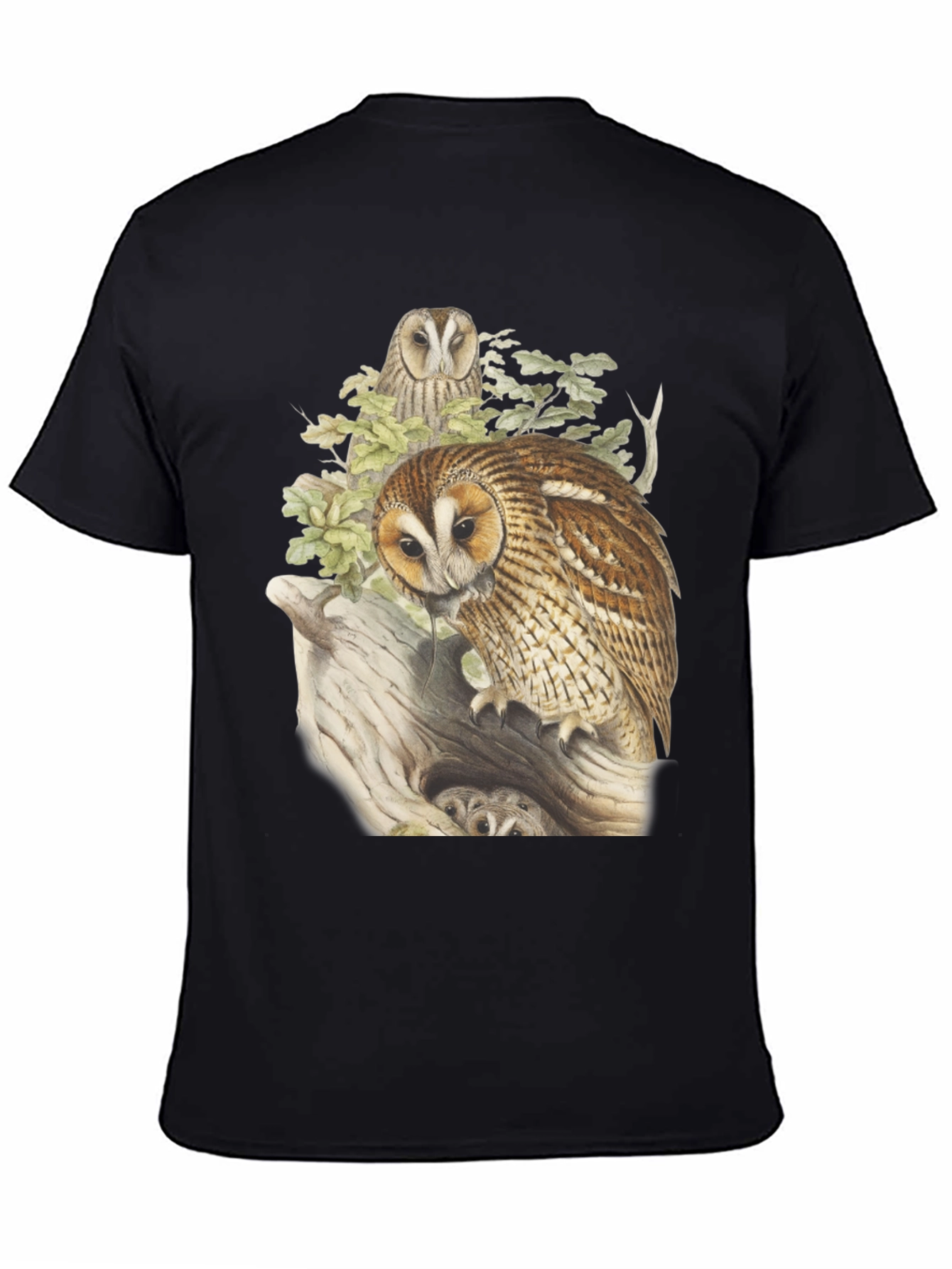 Black Owl Graphic Tee - Nature Inspired Design view 4