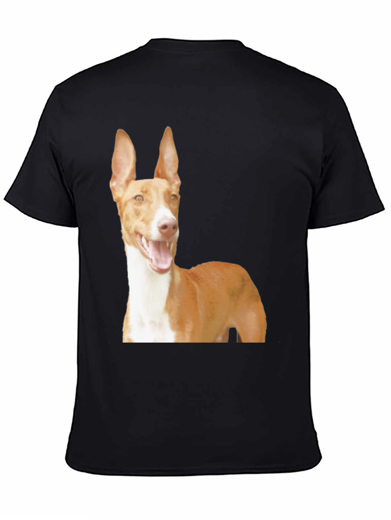 Black Dog Breed Graphic Tee - Ibizan Hound on Black Shirt view 4