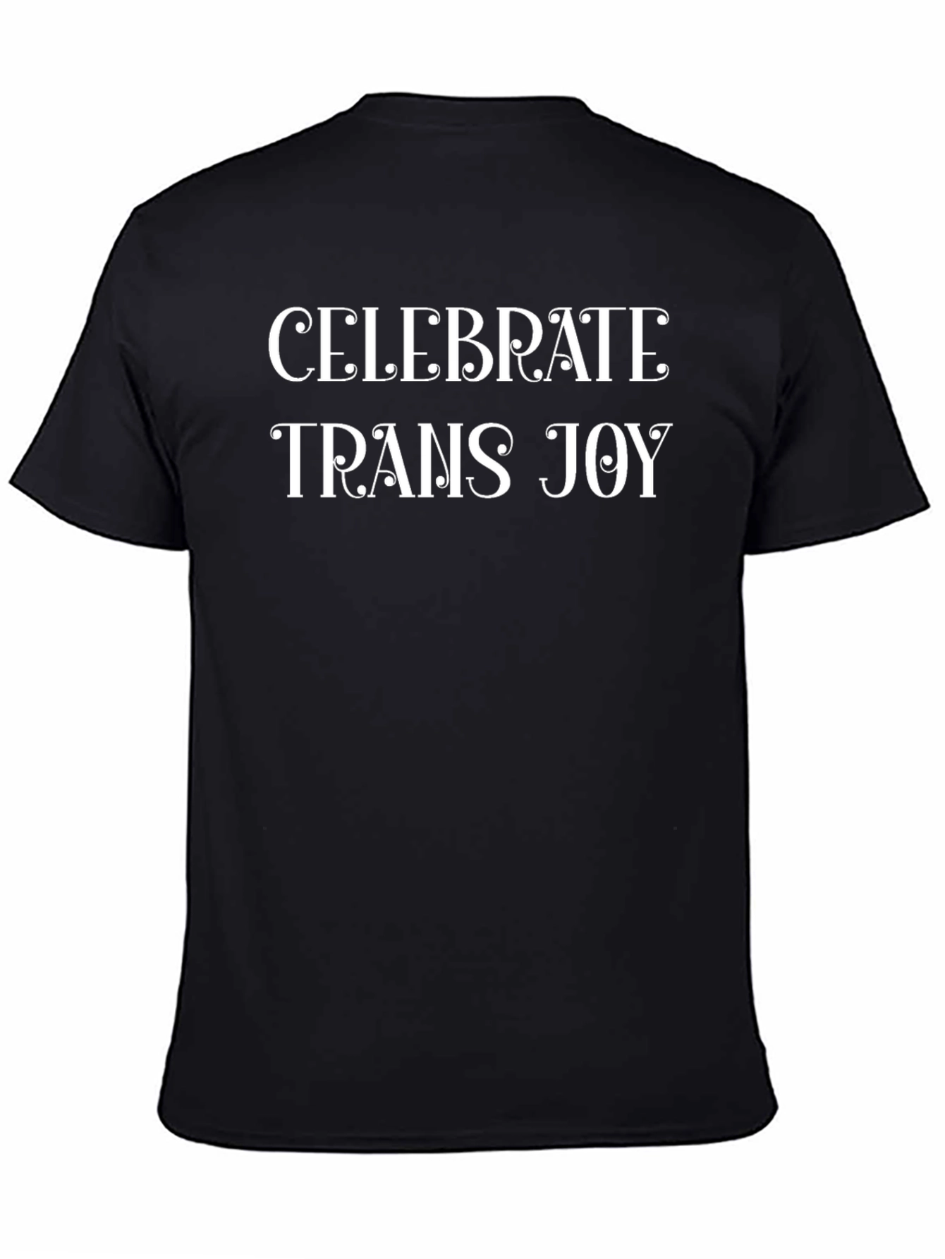Black Celebrate Trans Joy Graphic Tee - Black view 4