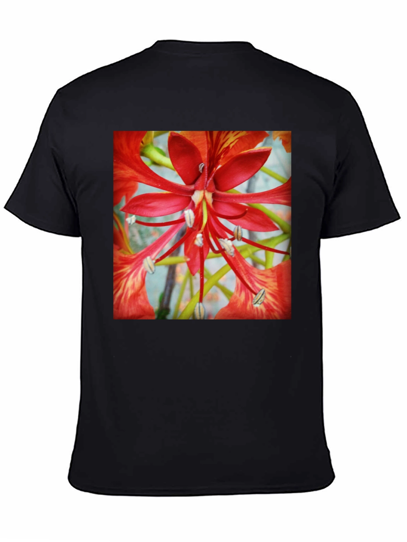 Black Bold Floral T-Shirt - Vivid Red Blossom Design view 4