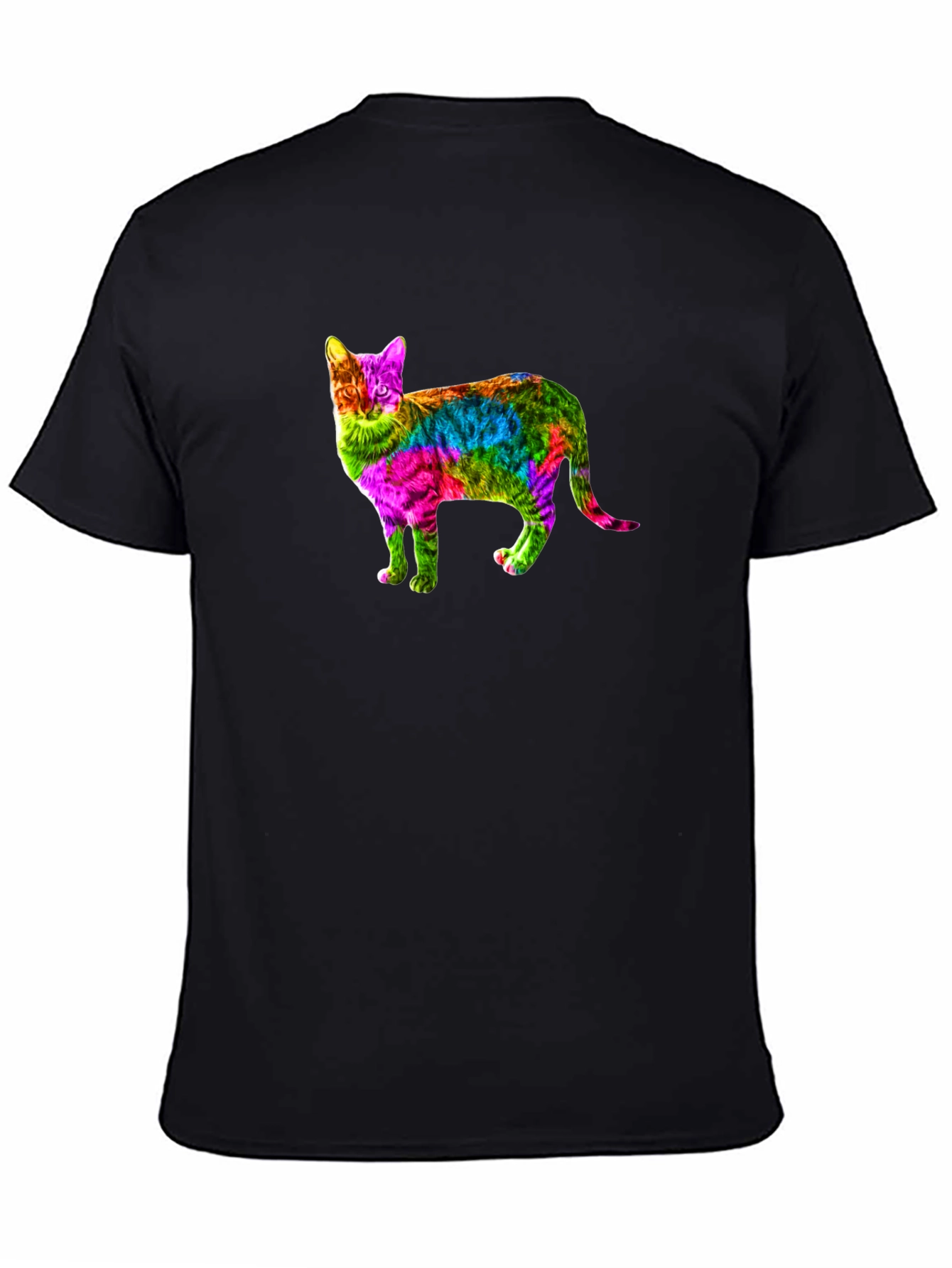 Black Rainbow Cat Graphic Print Black T-Shirt view 4