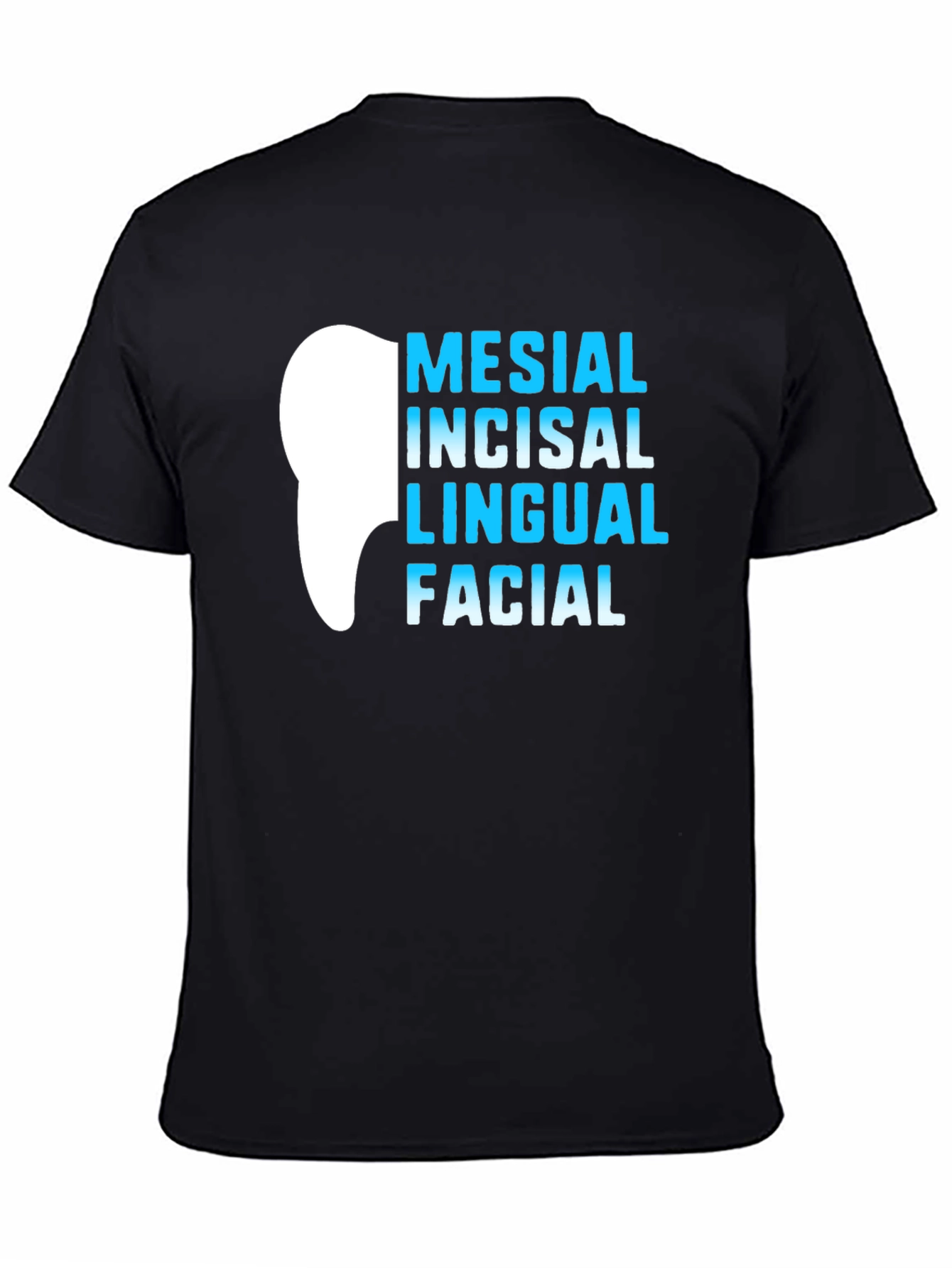 Black Dental Anatomy T-Shirt - Mesial Incisal Lingual Facial - Dentist Gift view 4