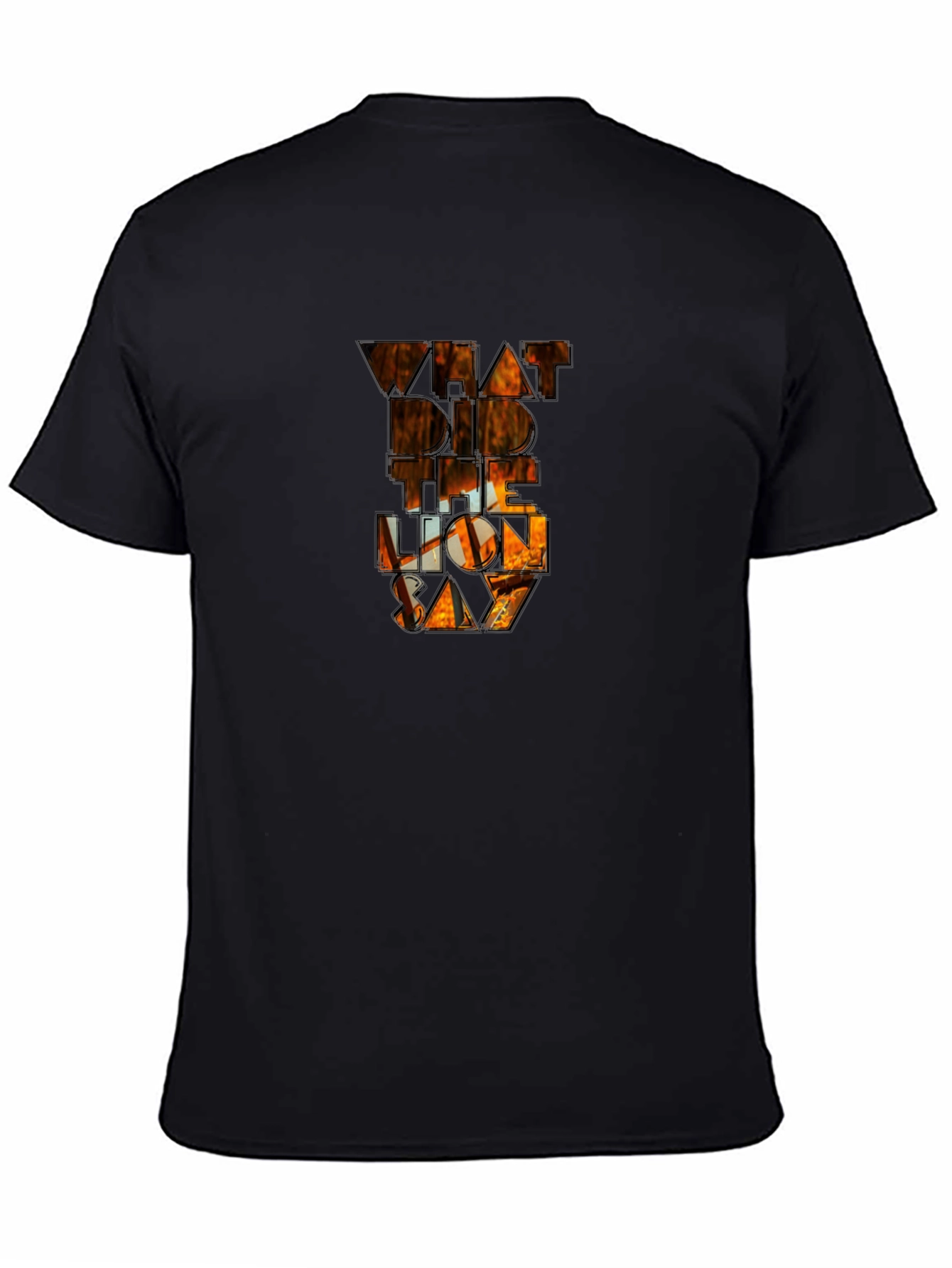 Black What Did The Lion Say Black T-Shirt view 4