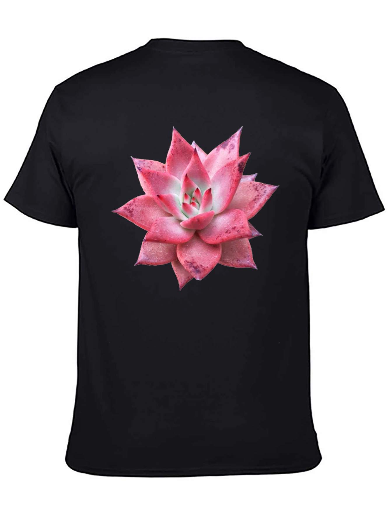 Black Succulent Graphic Tee - Black Cotton T-Shirt view 4