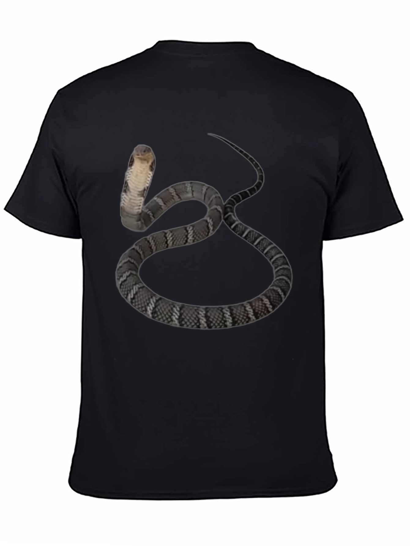 Black Cobra Snake Graphic Tee - Men's Black T-Shirt view 4