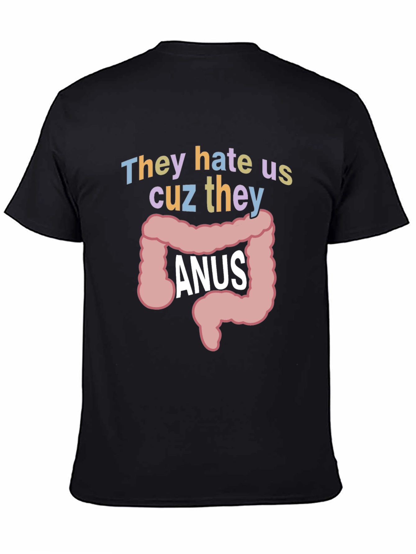 Black Anus Graphic T-Shirt: They Hate Us Funny Tee view 4