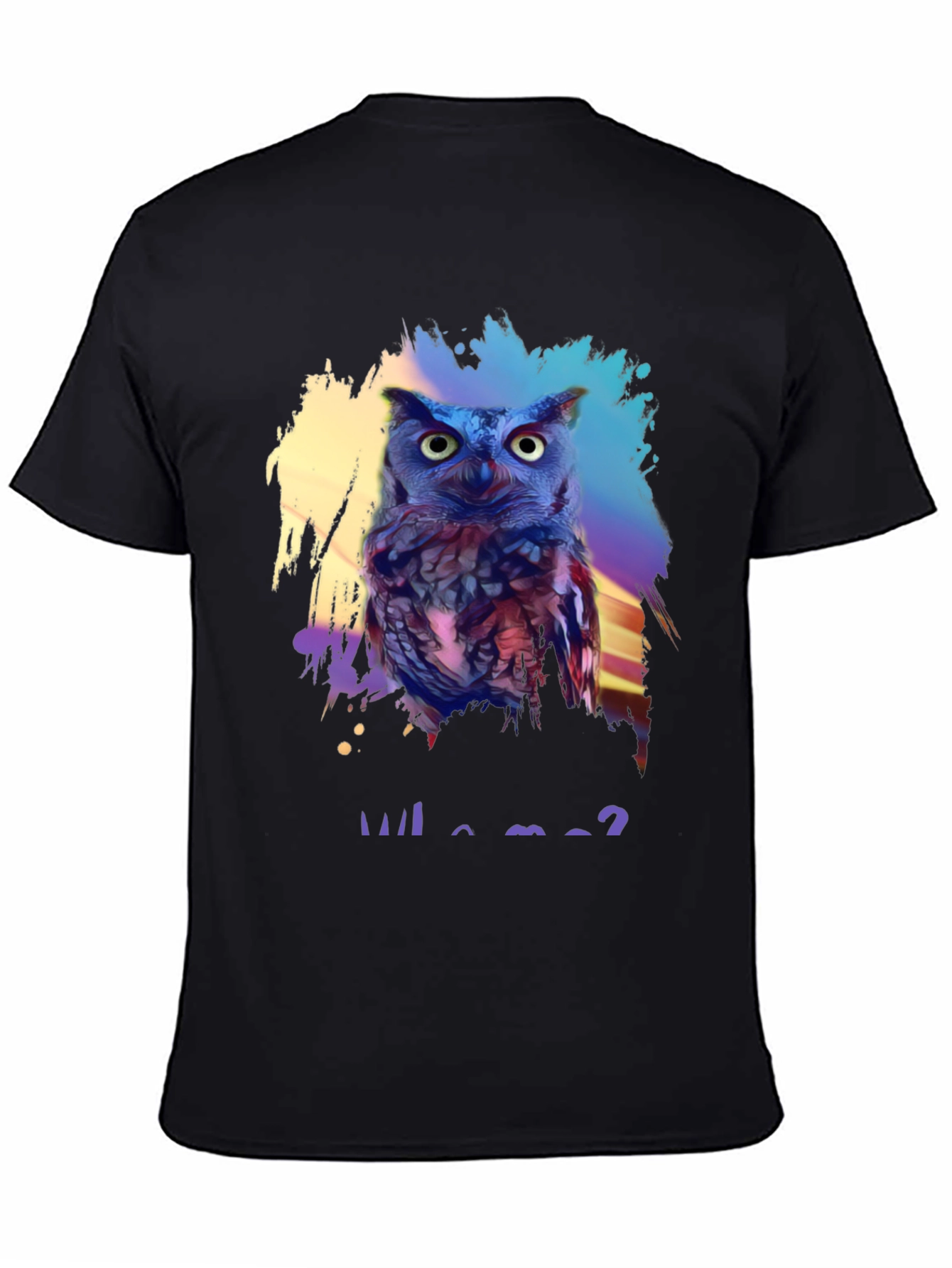 Black Who Me? Owl Graphic Print Black T-Shirt view 4