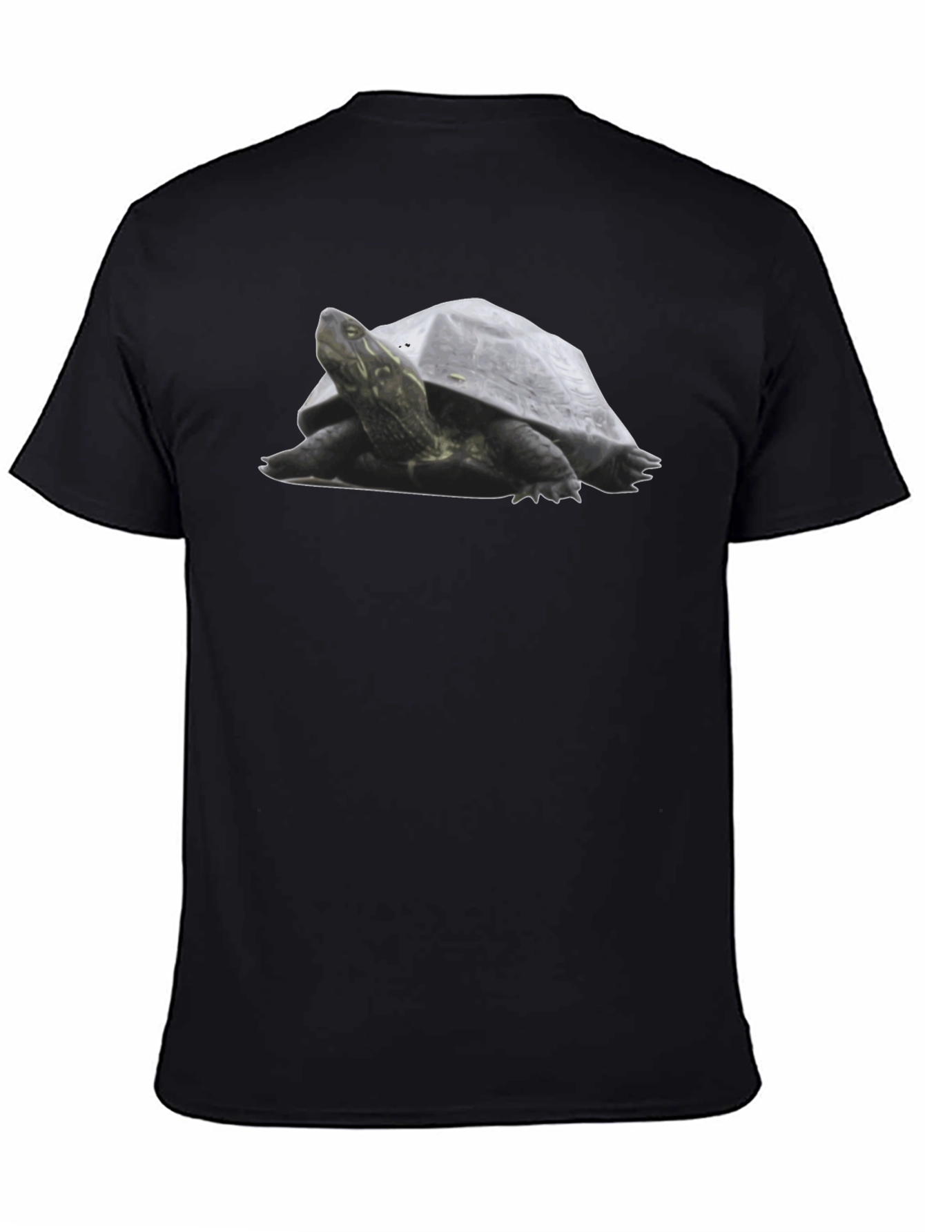 Black Turtle Graphic Tee - Black Cotton T-Shirt view 4