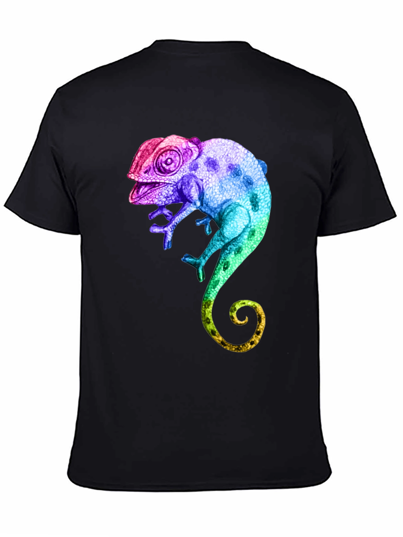 Black Rainbow Chameleon Graphic T-Shirt view 4