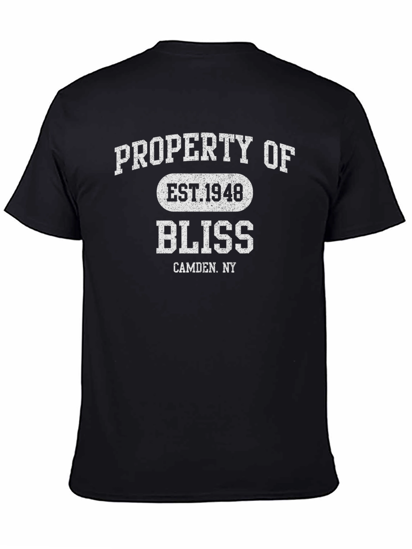 Black Property Of Bliss EST. 1948 Black Graphic T-Shirt view 4