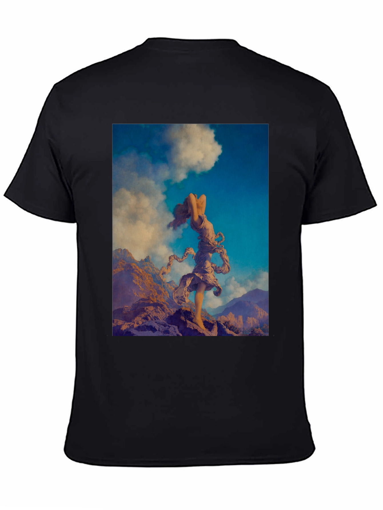 Black Mountain Muse Graphic Tee view 4