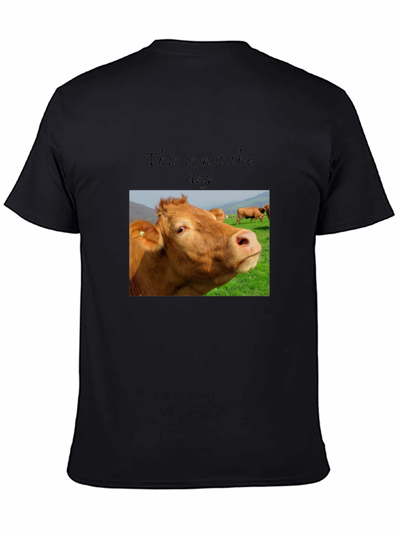 Black Cow Graphic T-Shirt - "This is not the day" view 4